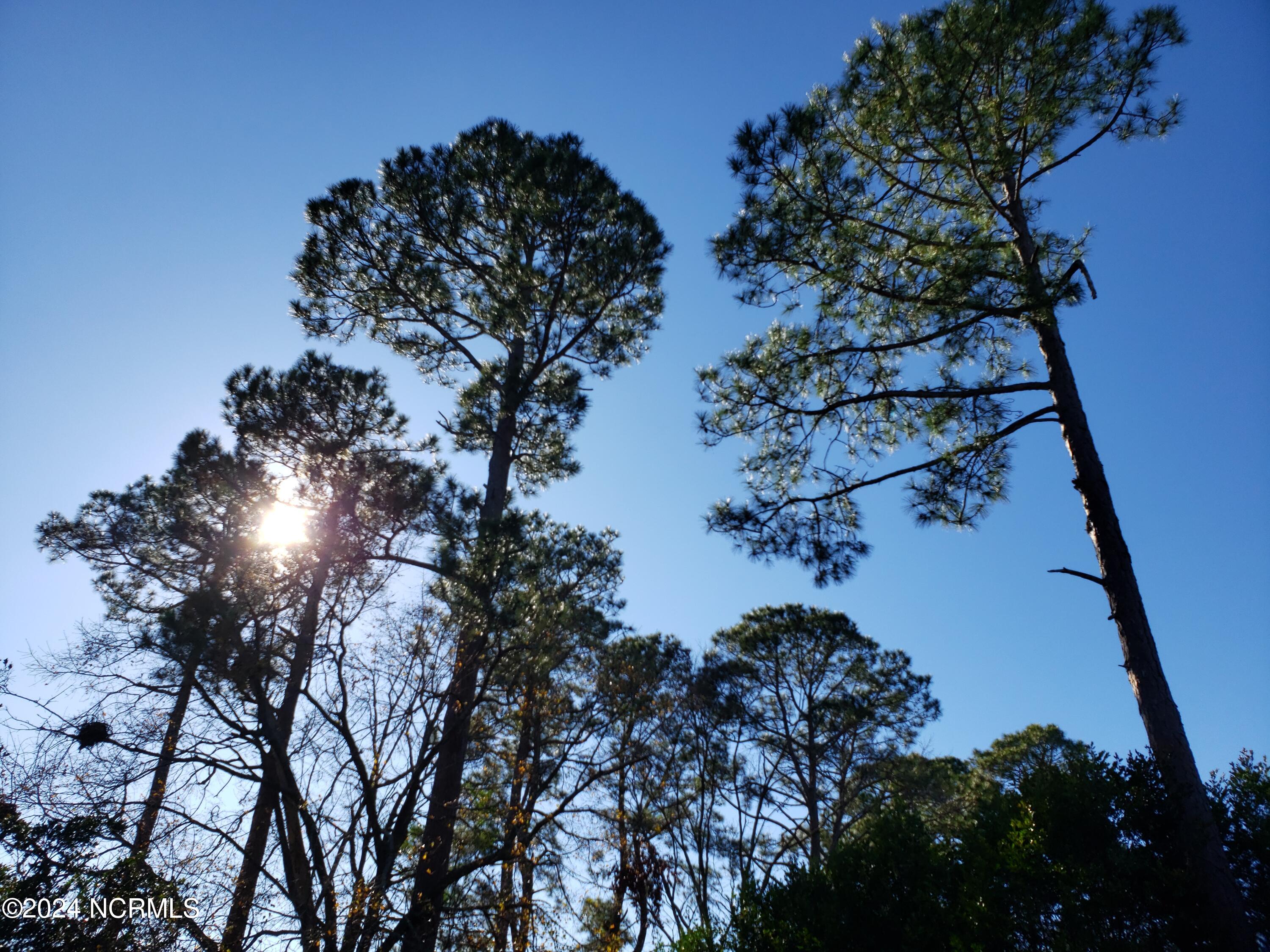 100551642 | Photo 31