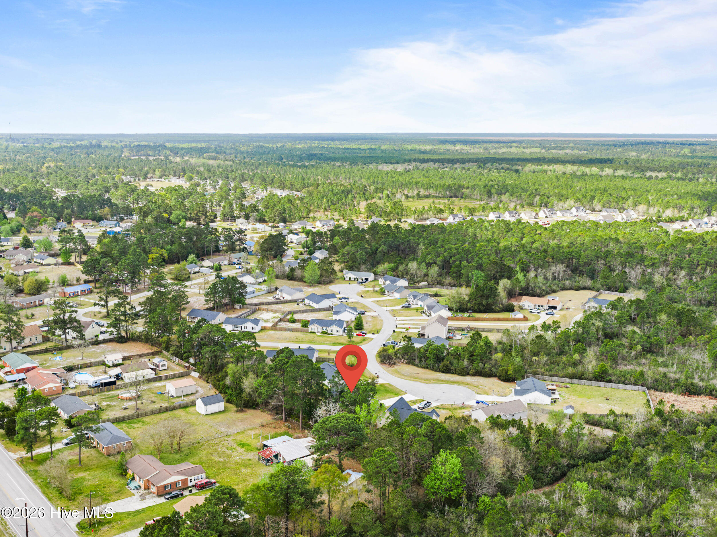 100565306 | Photo 35