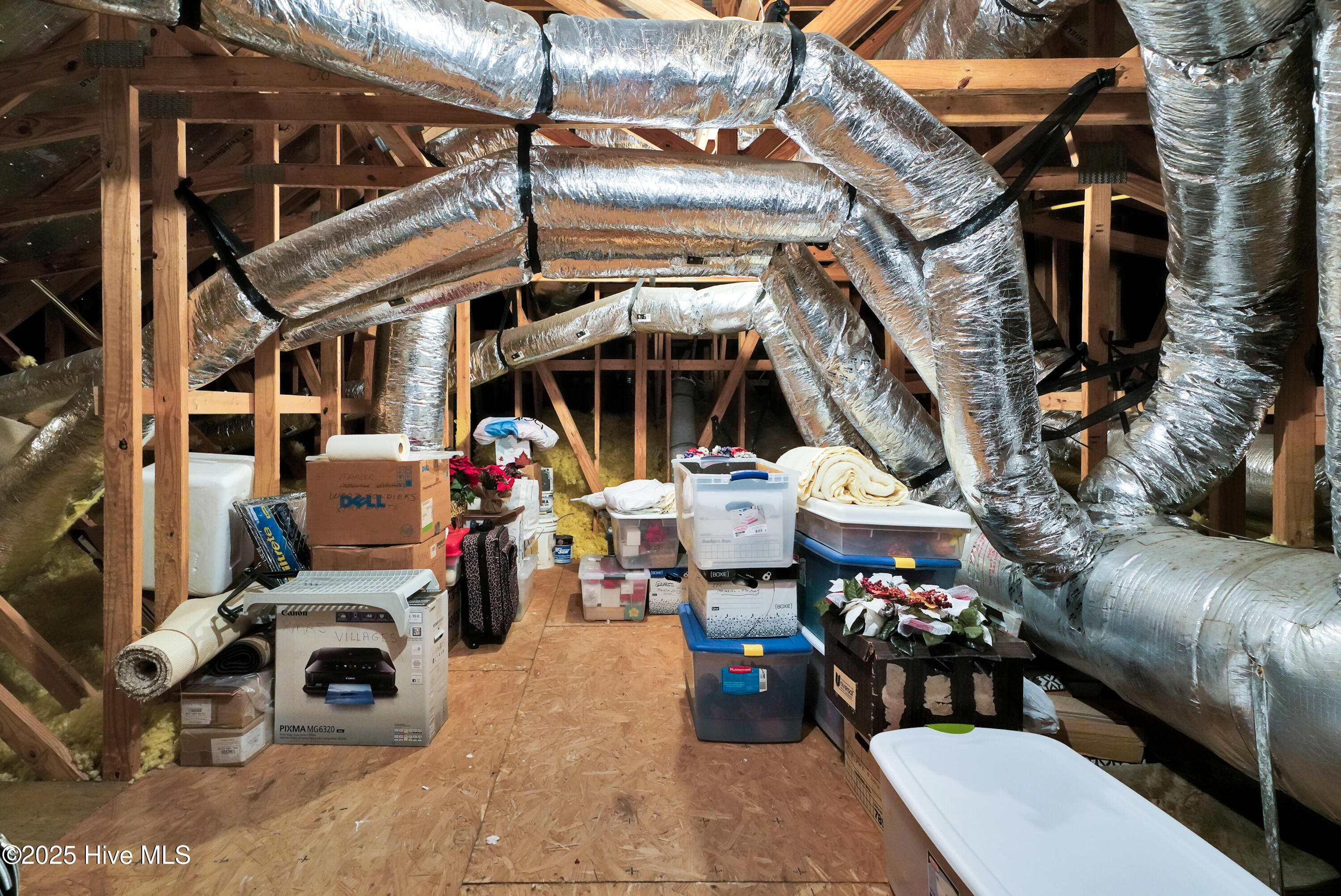 100557169 | Photo 43