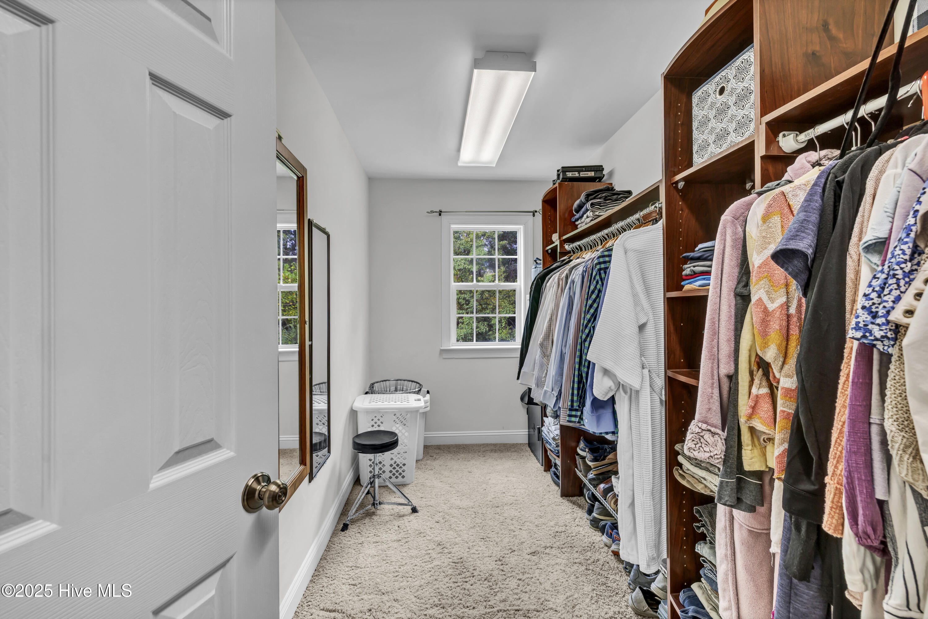 100533968 | Photo 27