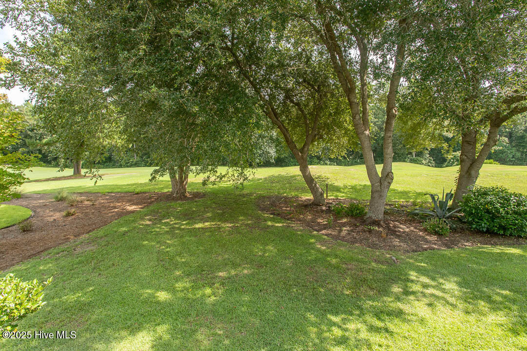 100526043 | Photo 54