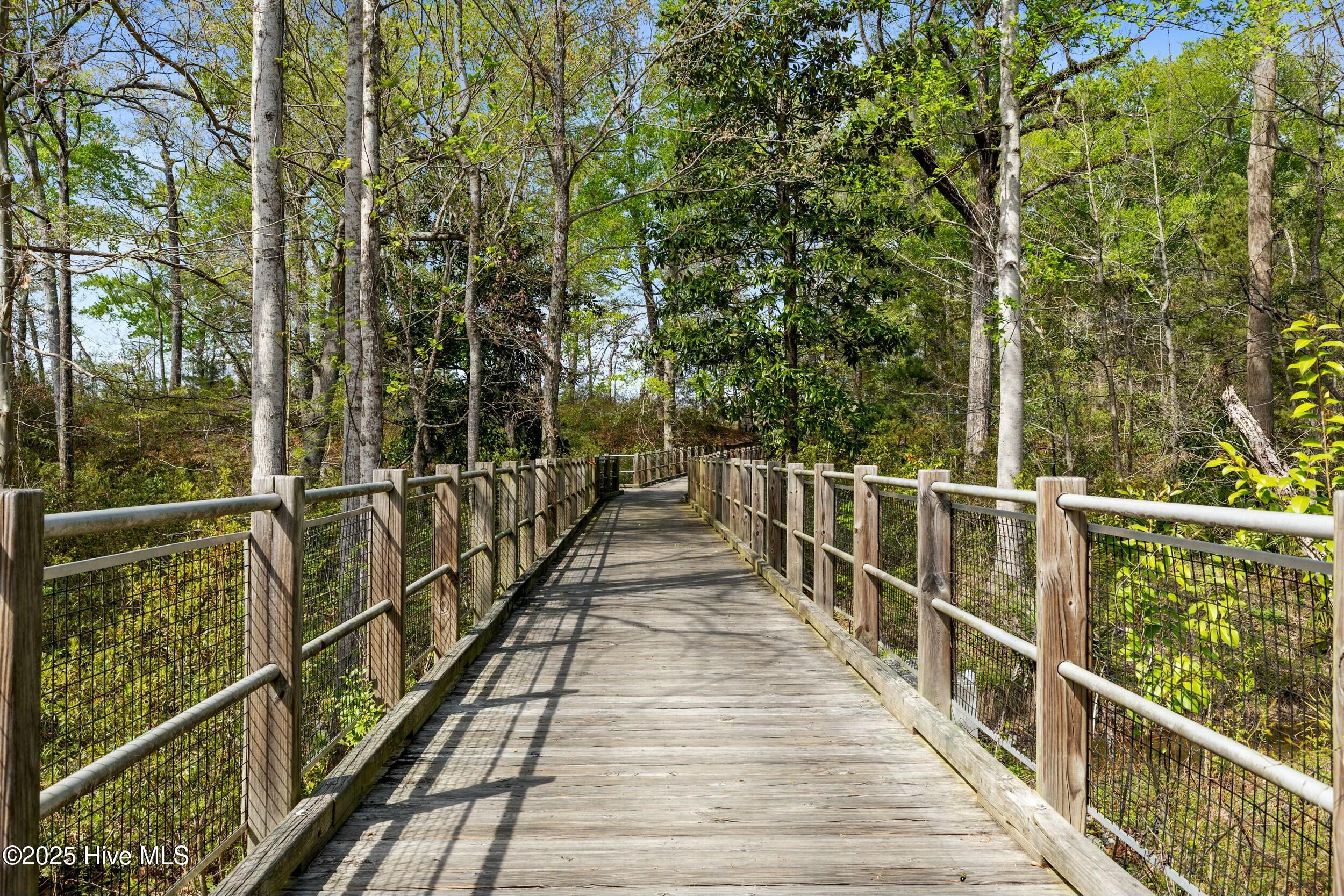 100498490 | Photo 76