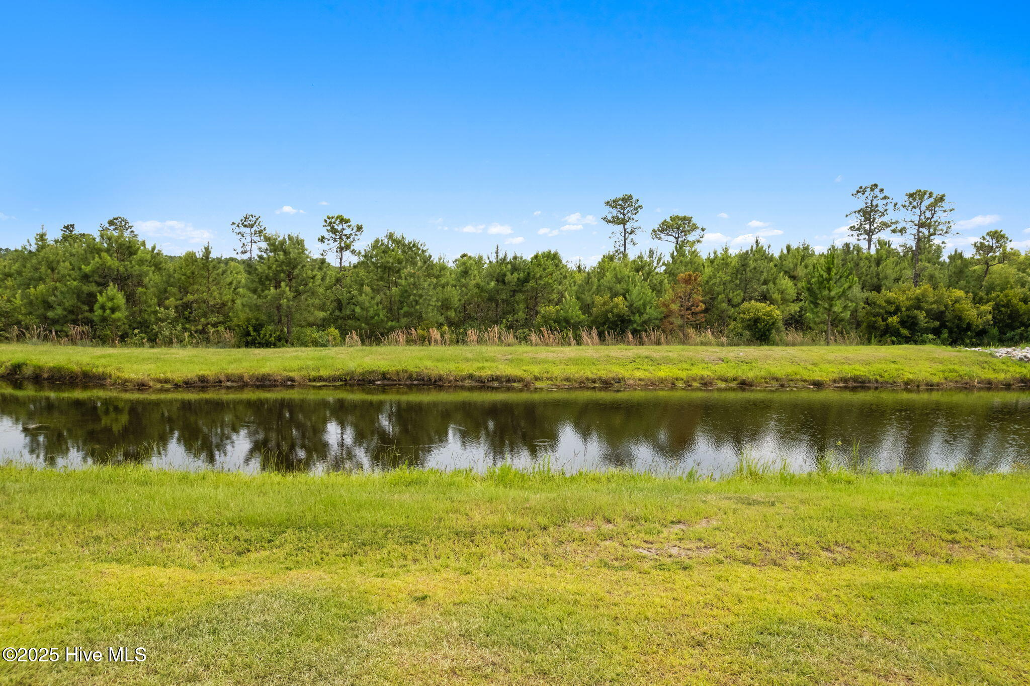 100516029 | Photo 36