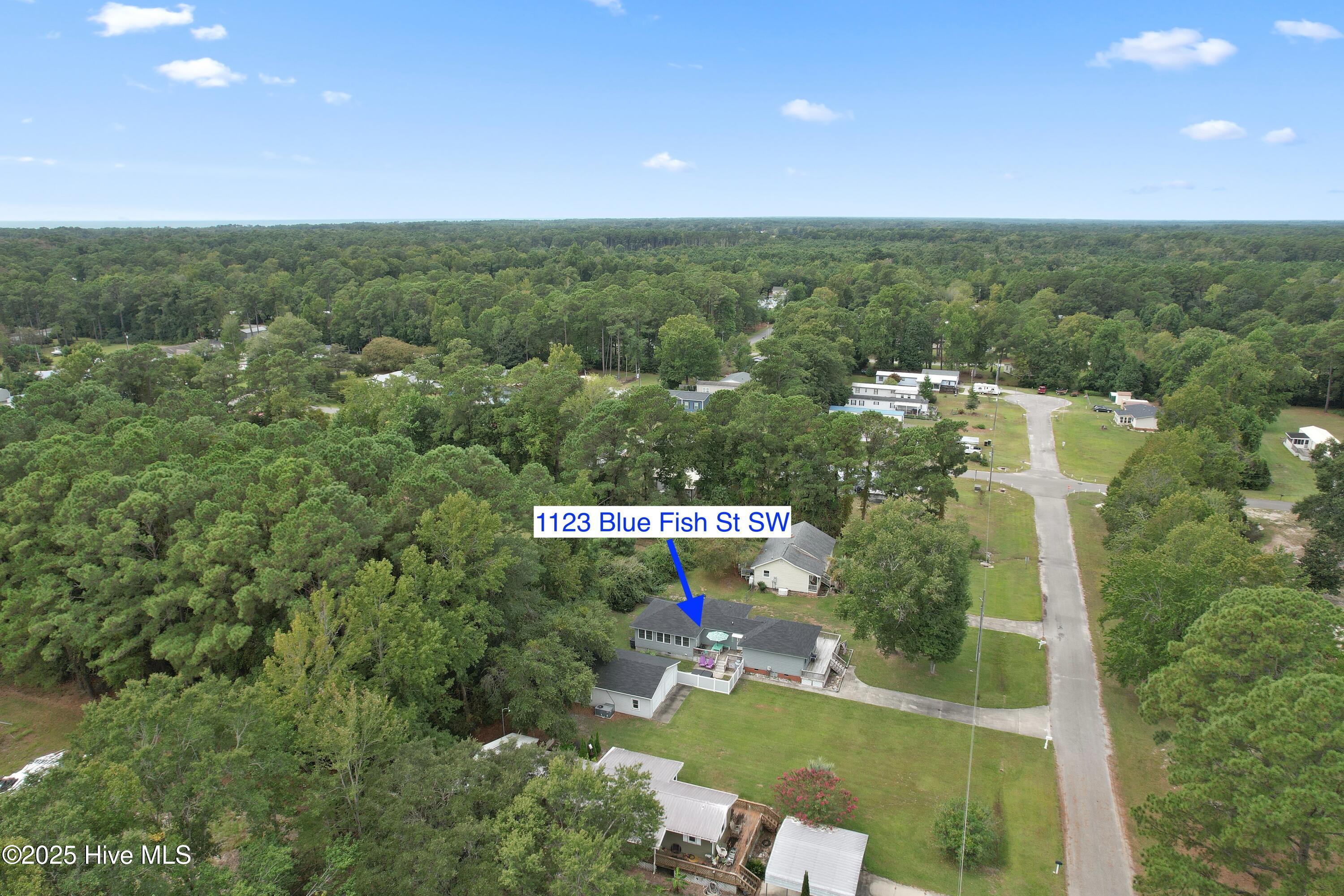 100530130 | Photo 46