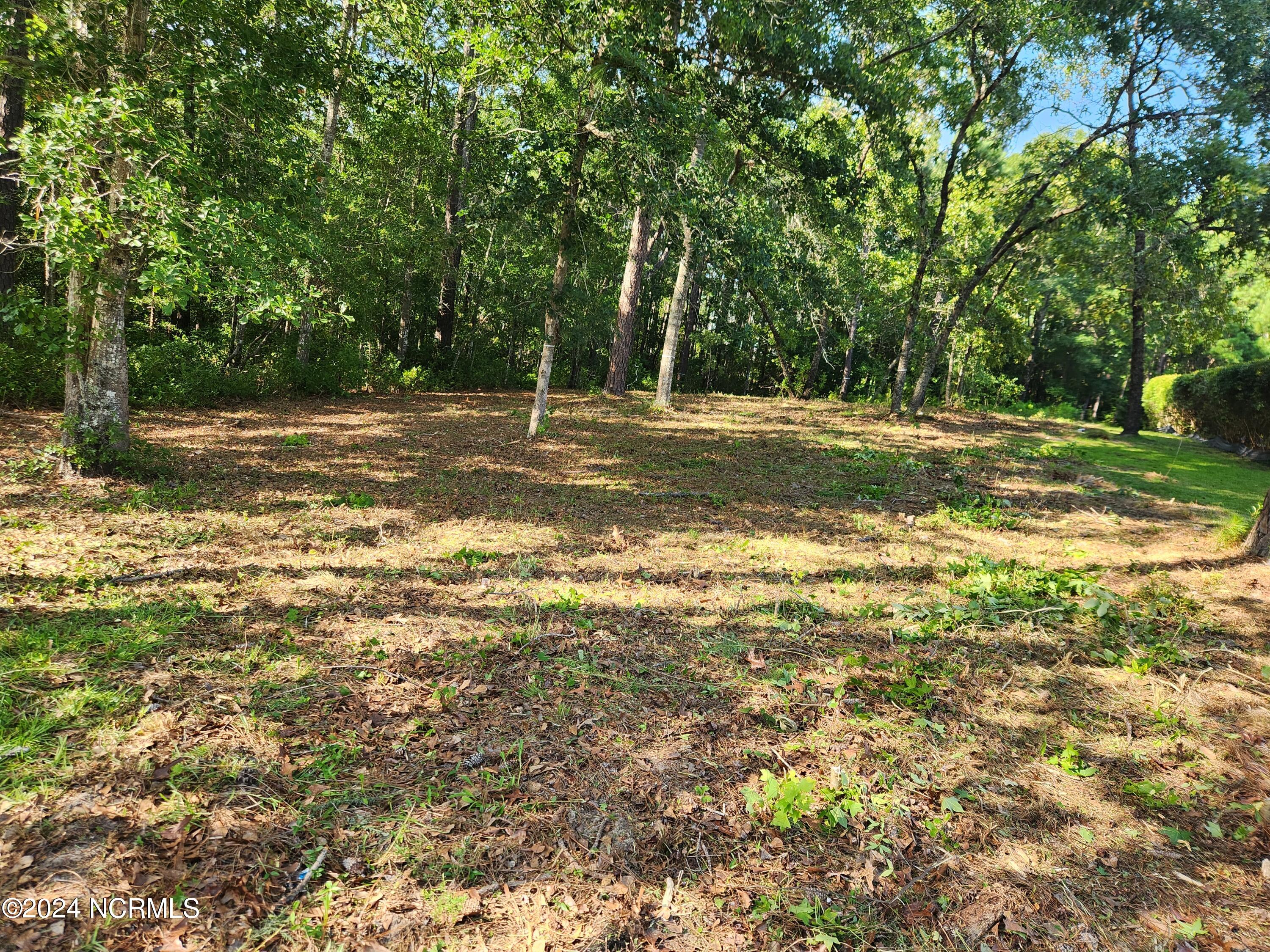 100455886 | Photo 19