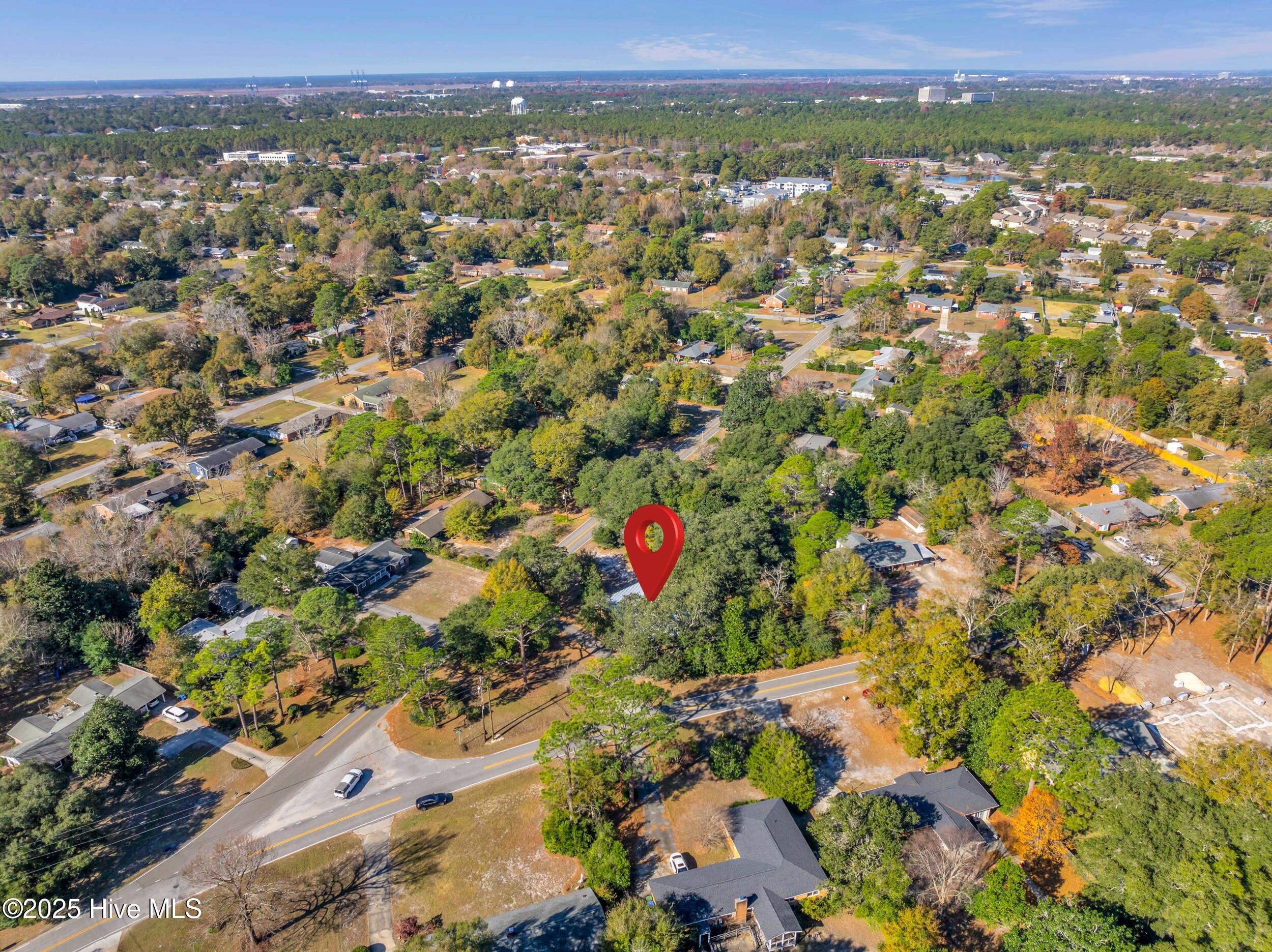 100532133 | Photo 51