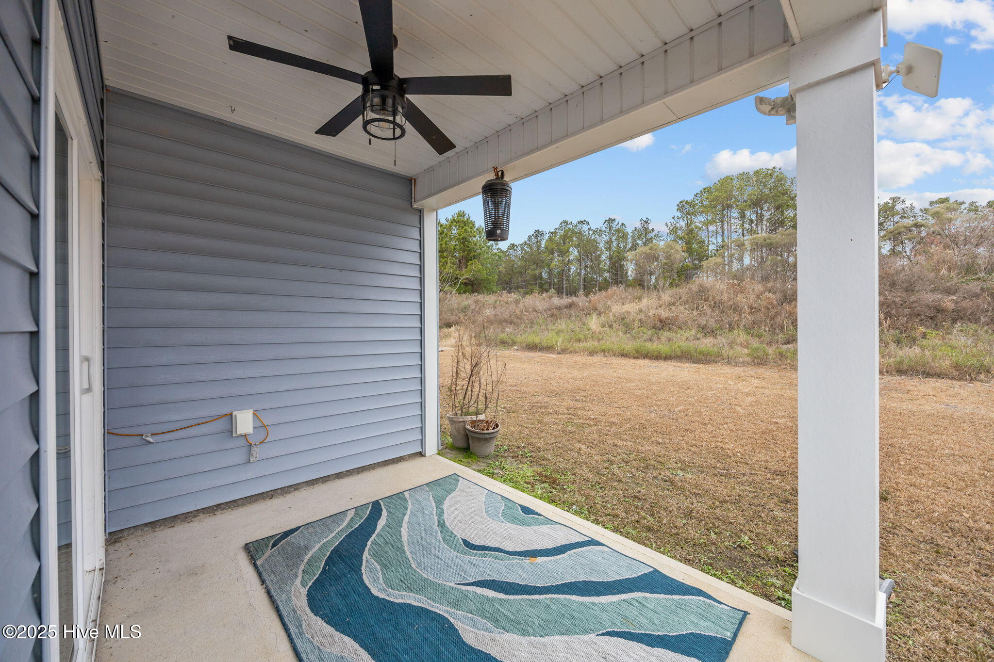 100546434 | Photo 34