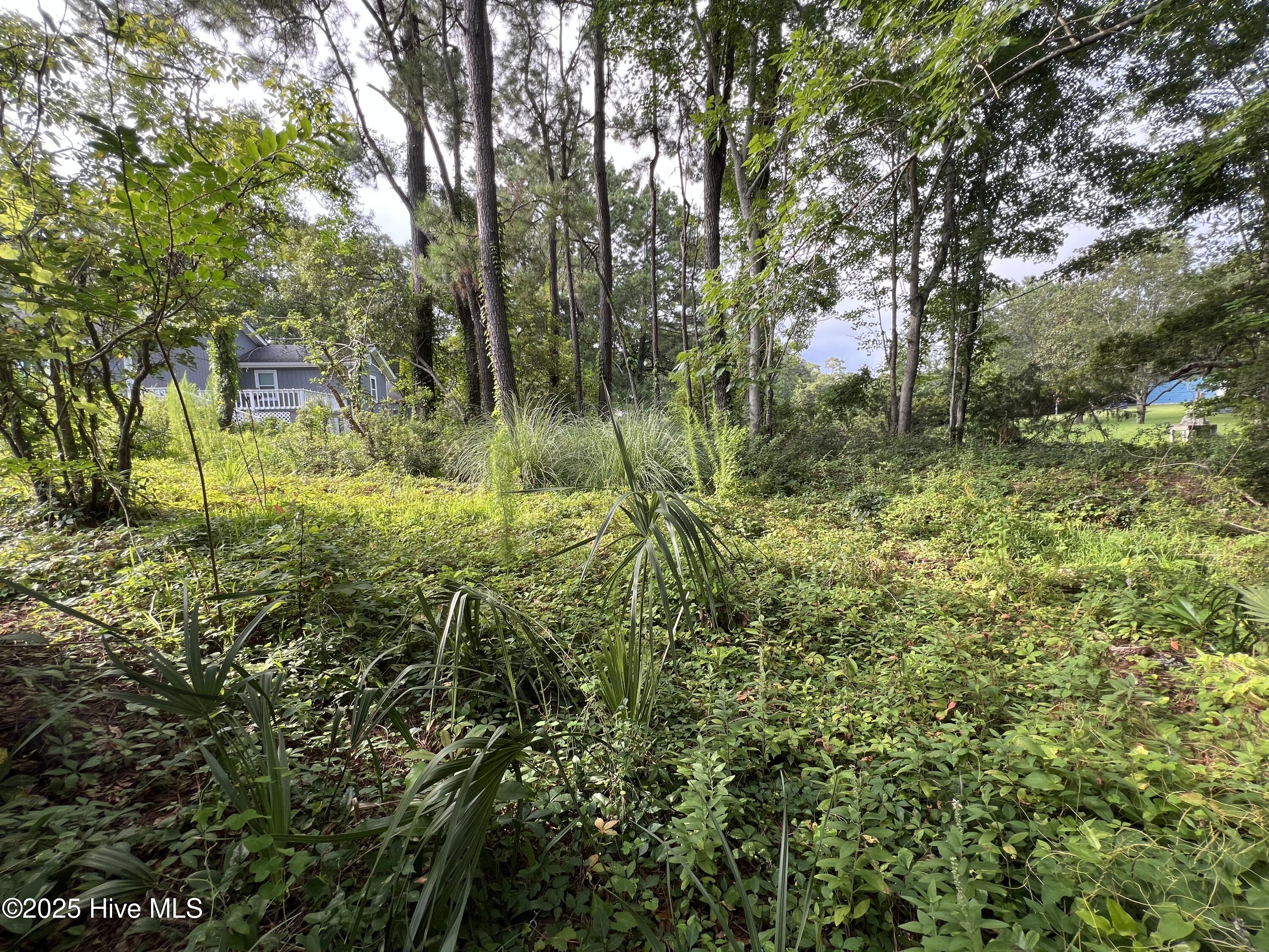 100521126 | Photo 12