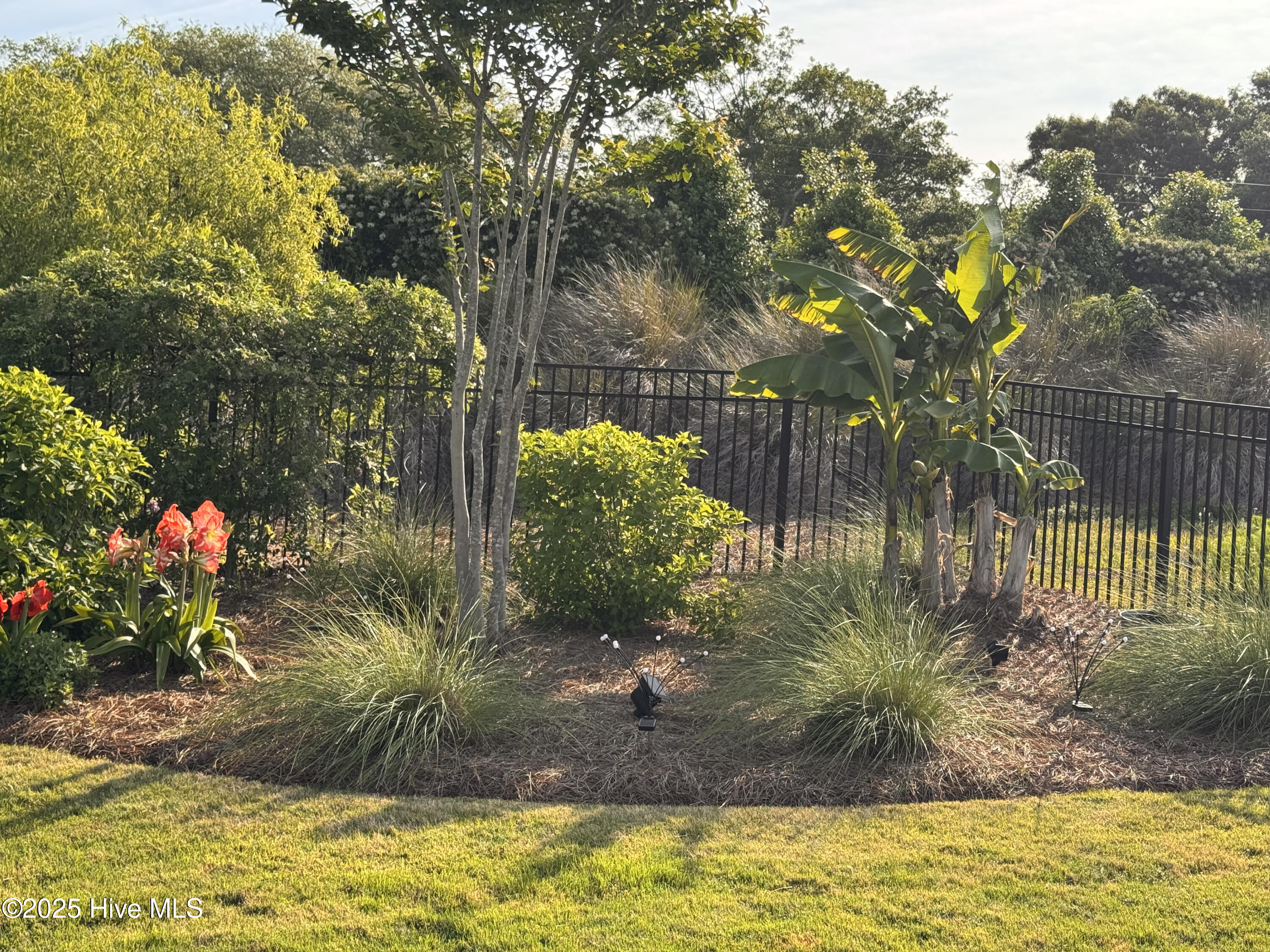 100545282 | Photo 57