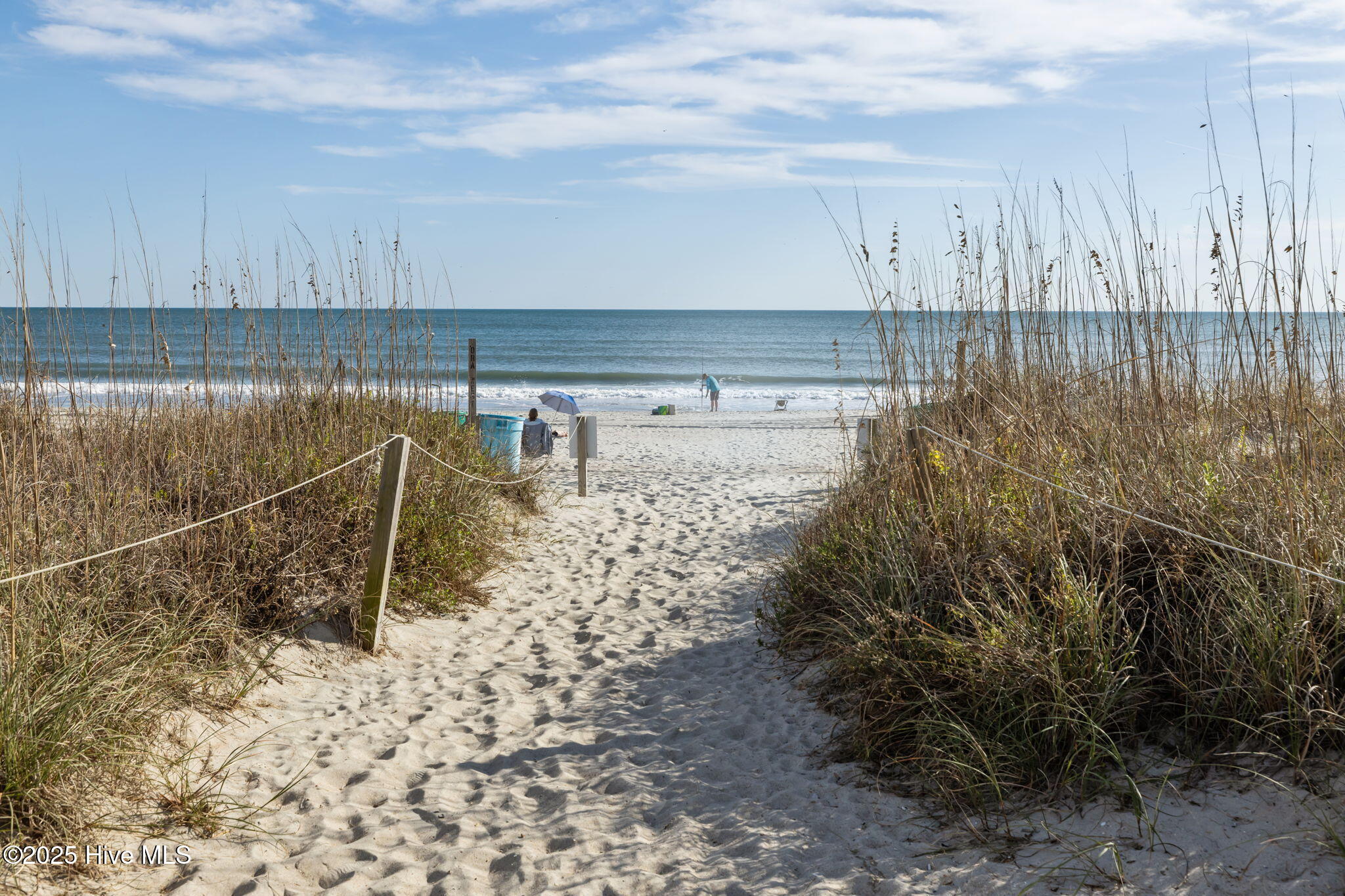 100541524 | Photo 40