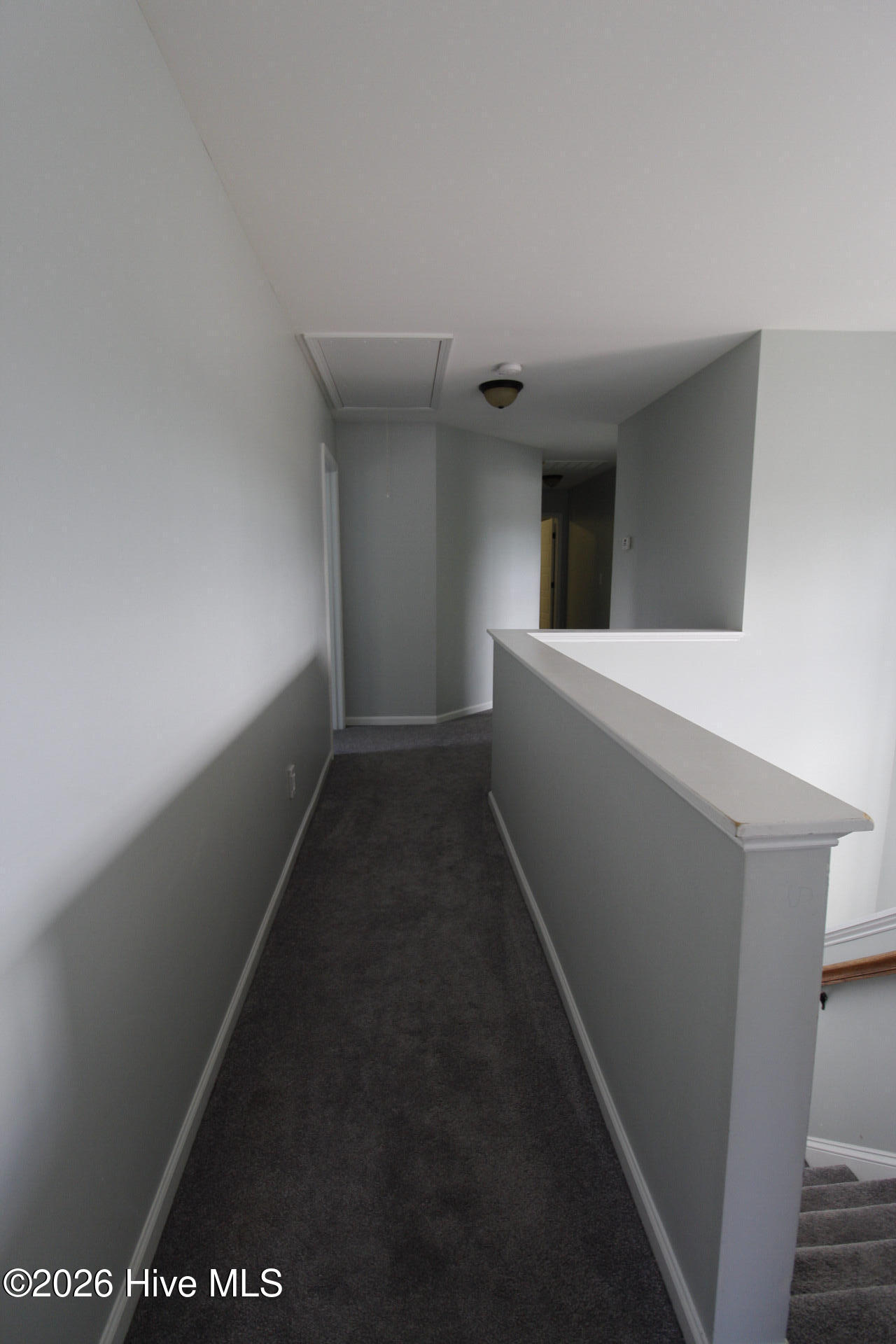 100558904 | Photo 20