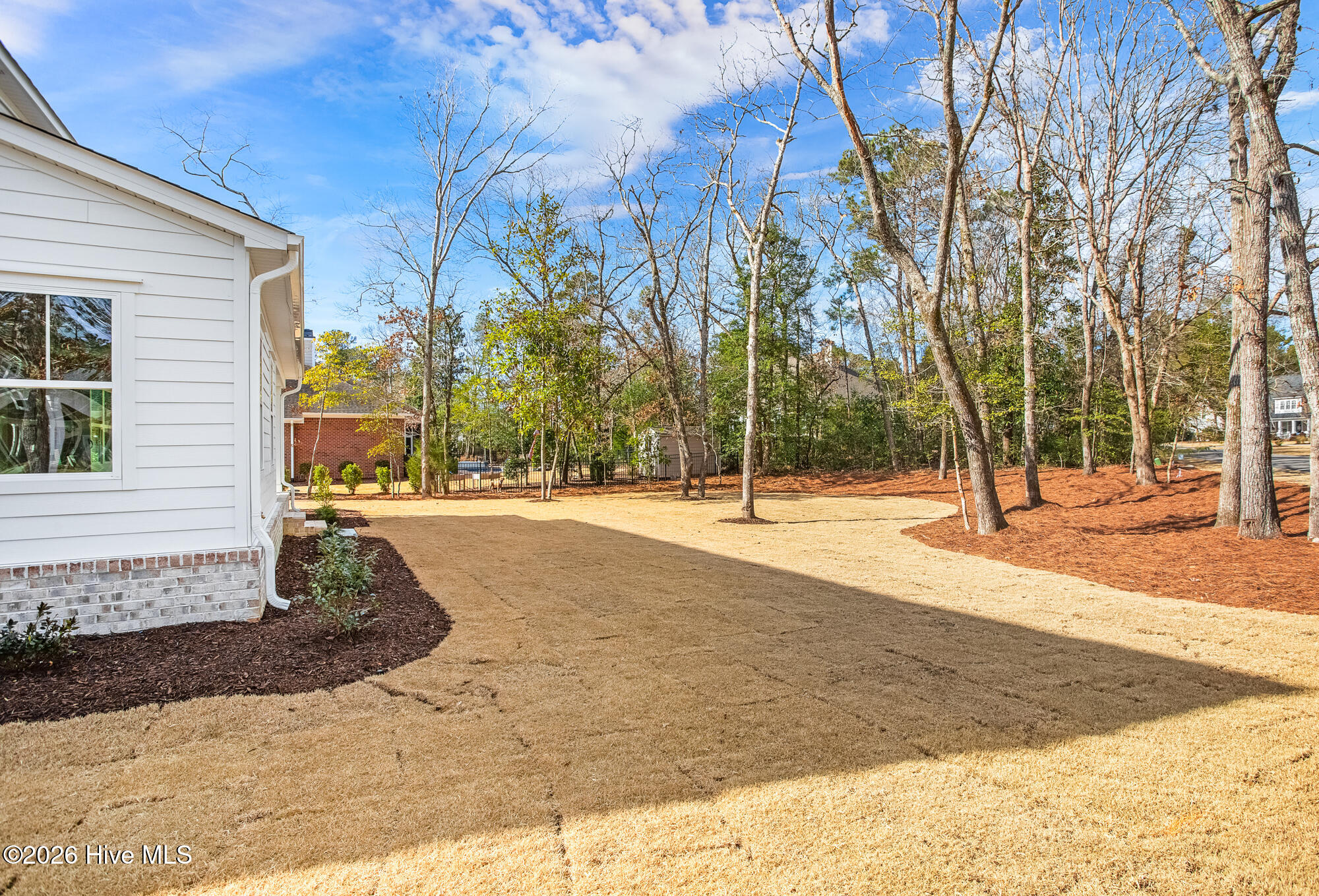 100564009 | Photo 49