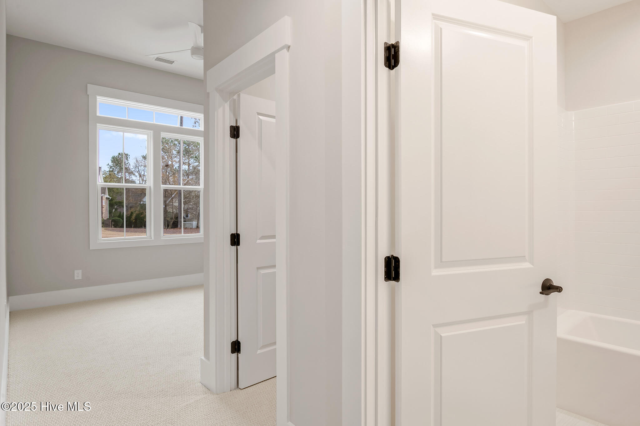 100533219 | Photo 43