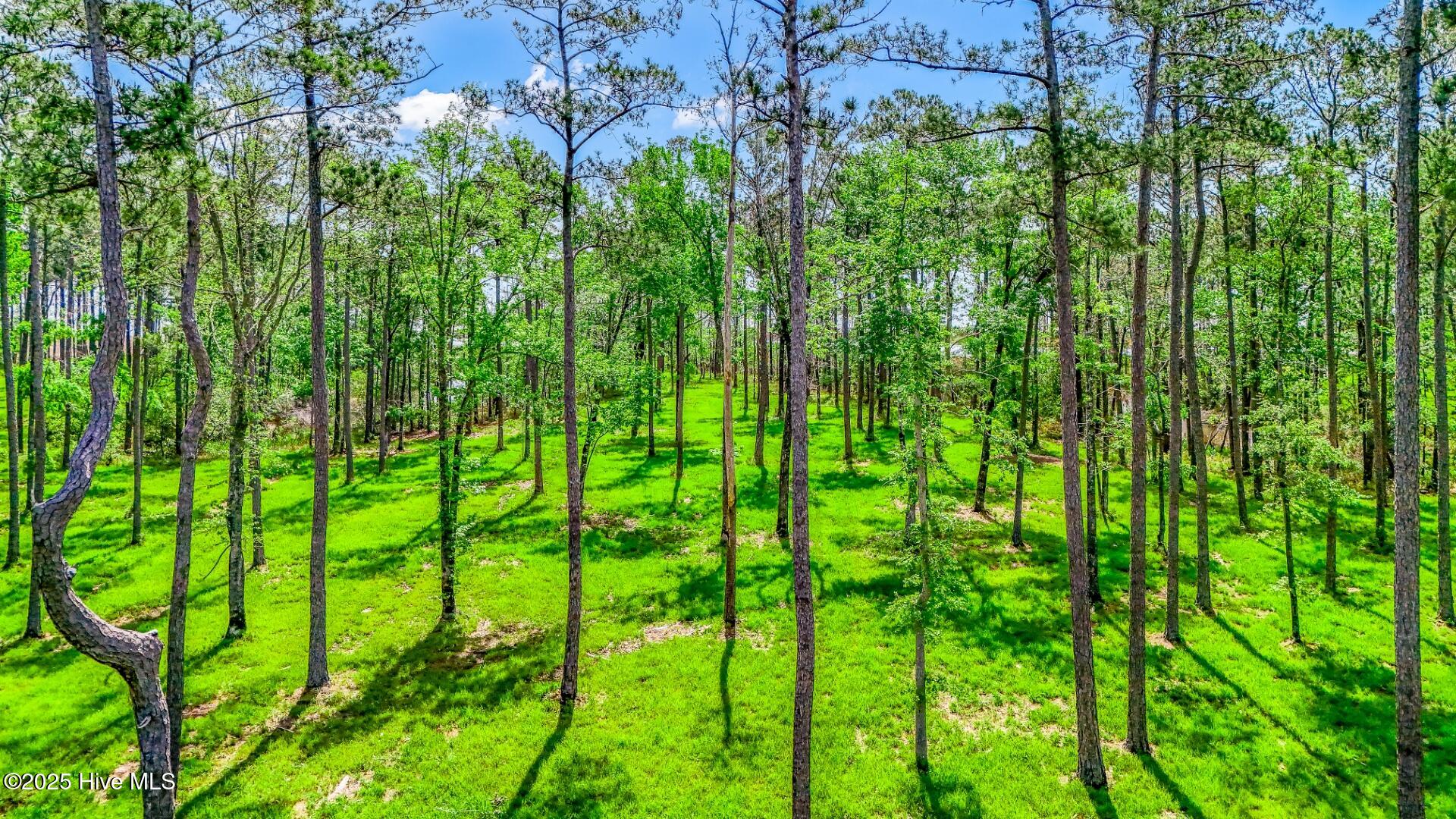 175 River Watch Road, Oriental, NC, 28571