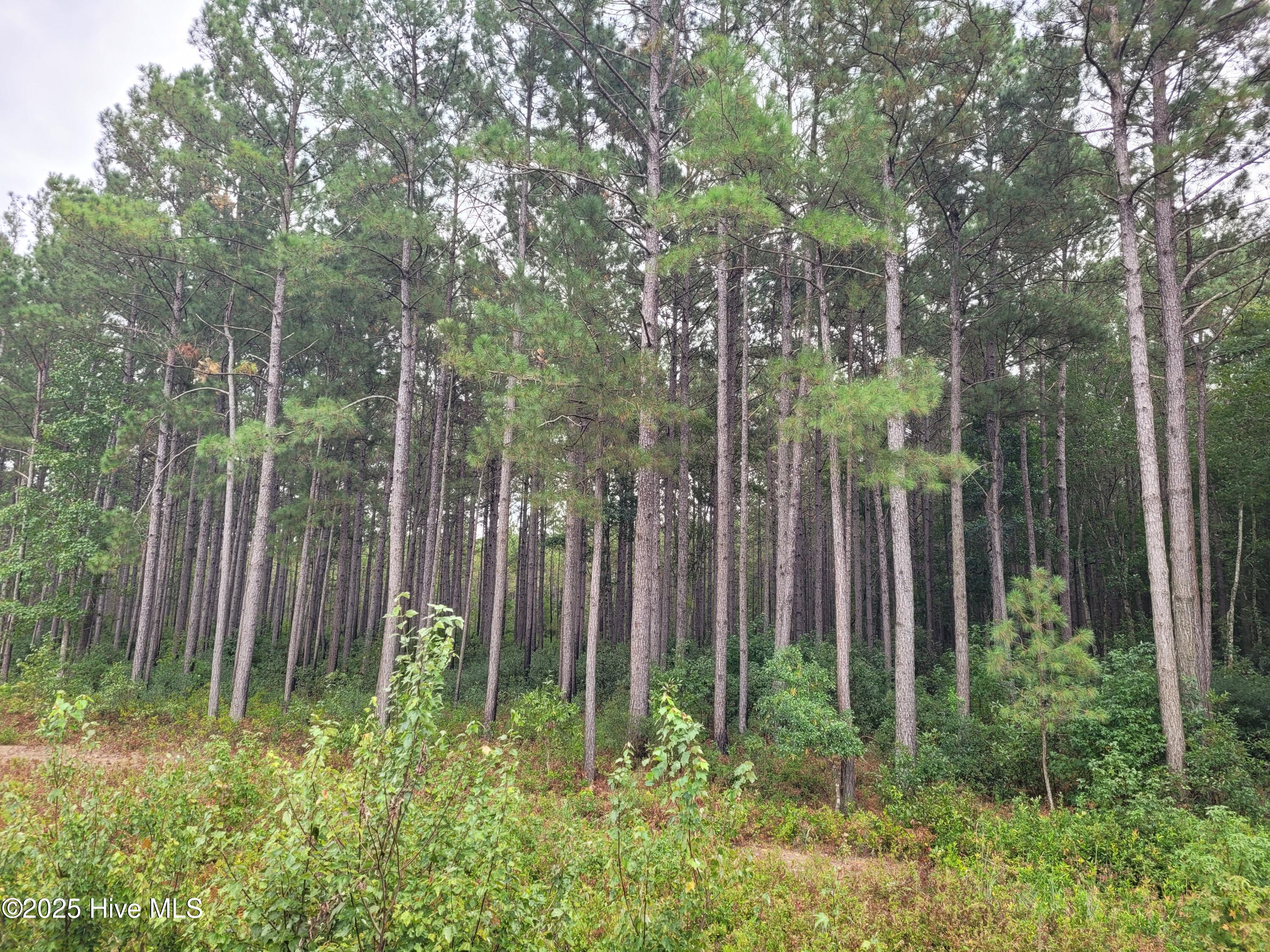 4) 63172-68cd807a481eb