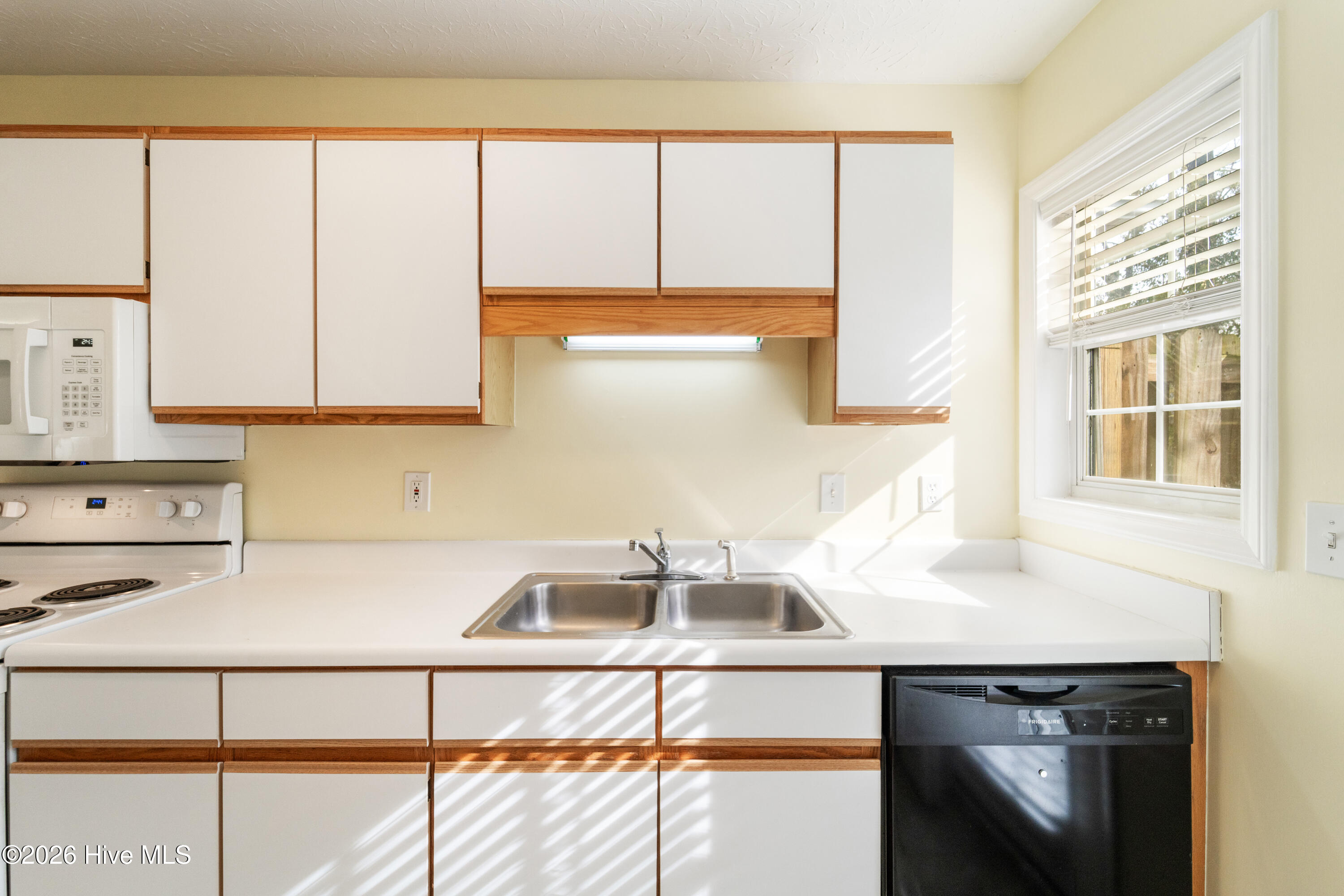 100555847 | Photo 10