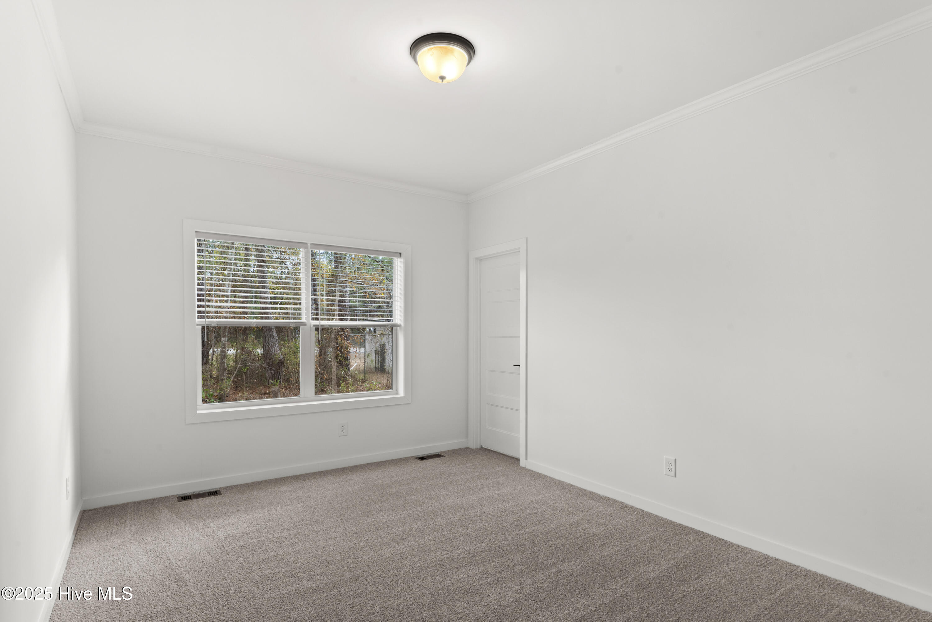 100546141 | Photo 24