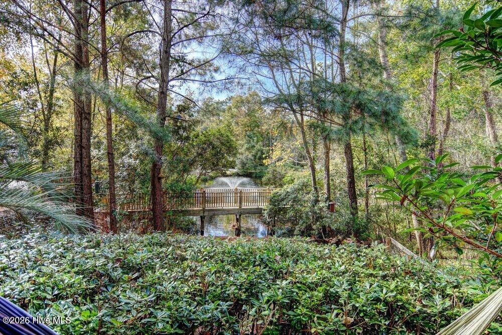 100563966 | Photo 66