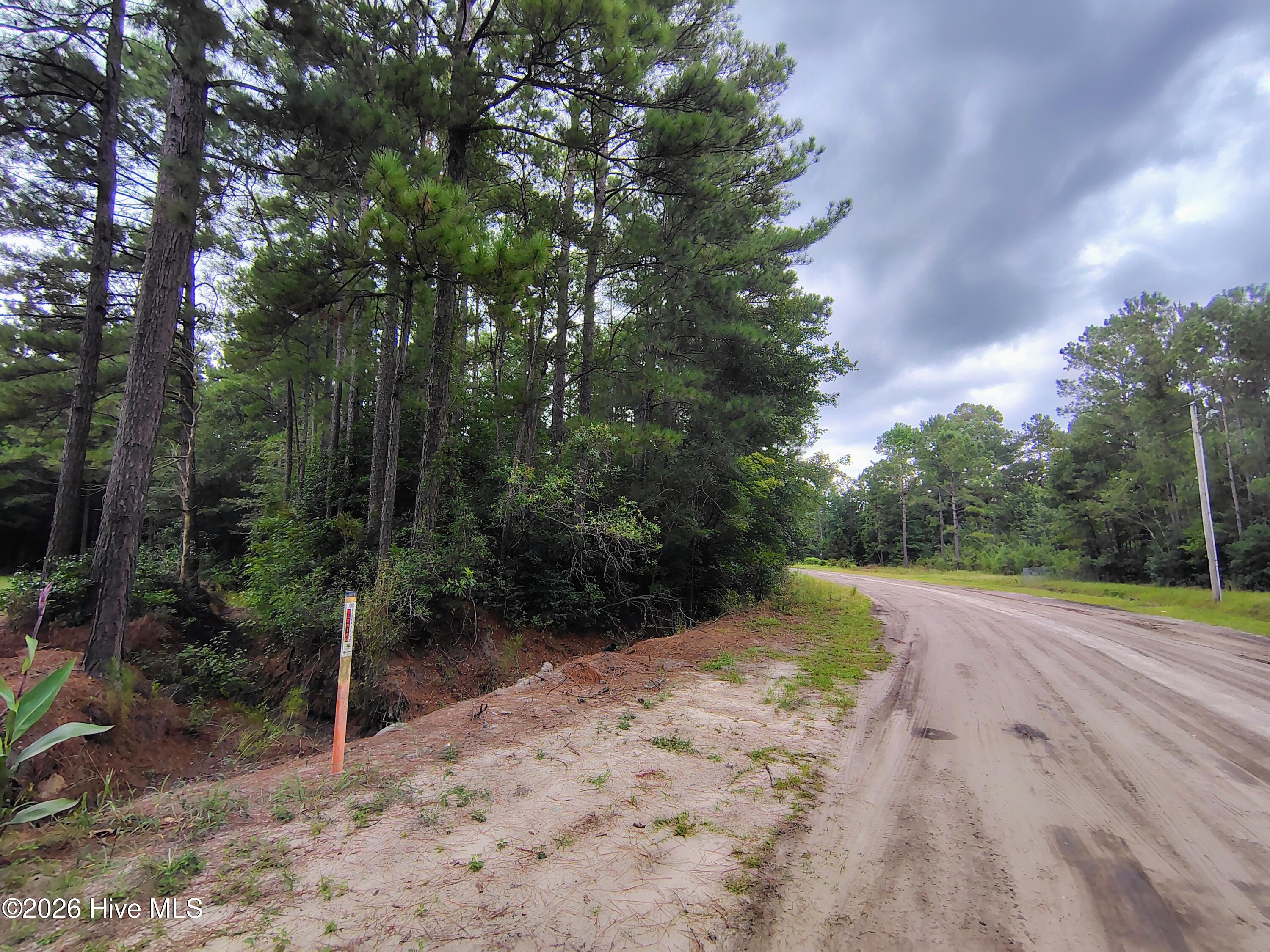 4th image of Lot 45 Near 519 Deer Ln, Tabor City, NC 28463 | MLS# 100600263