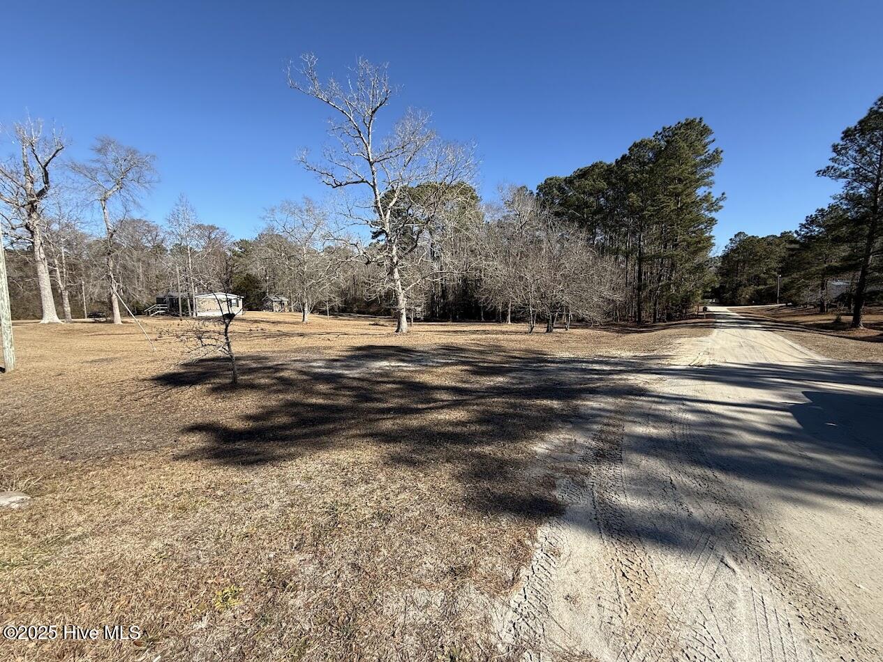 100486330 | Photo 11