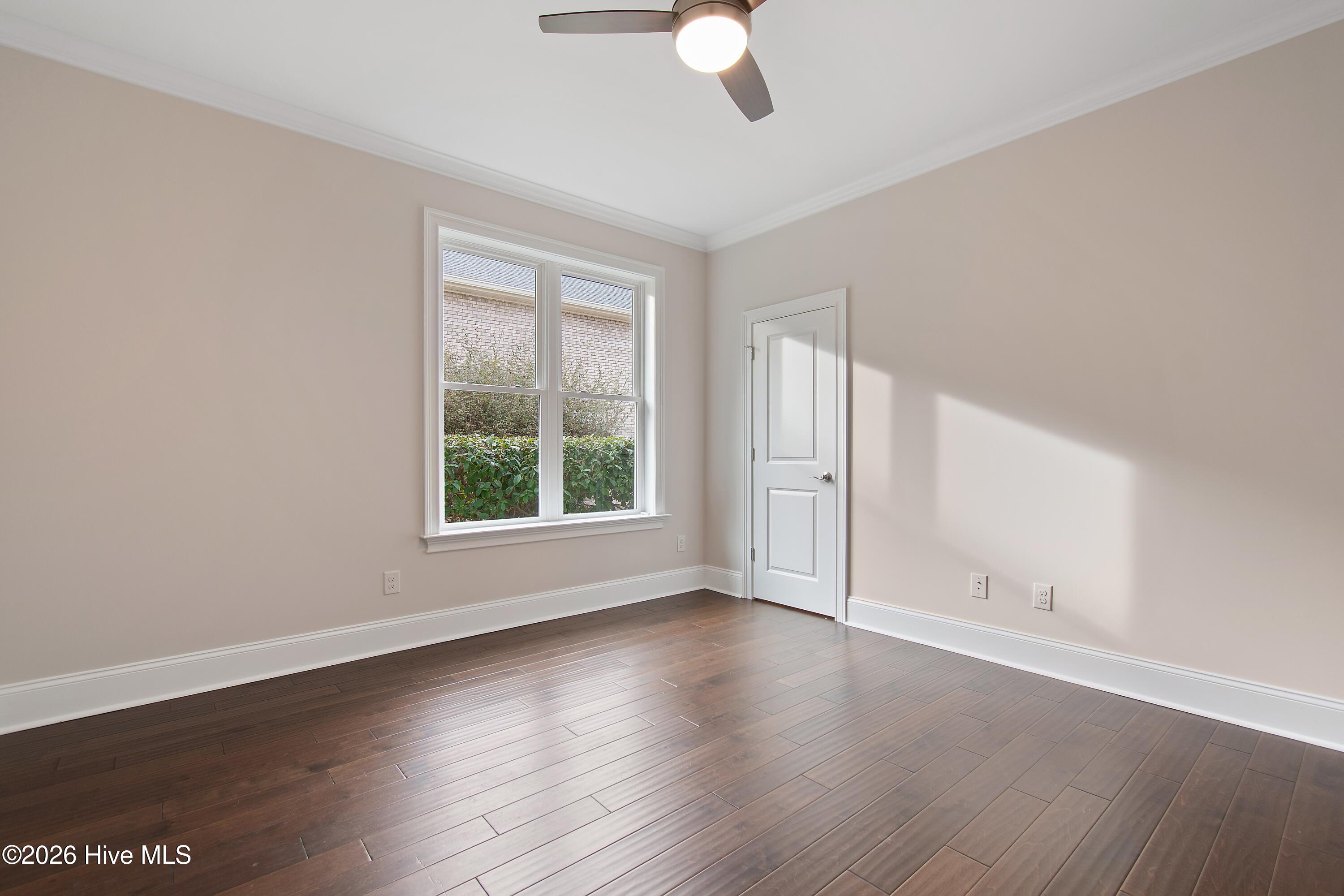 100556573 | Photo 42