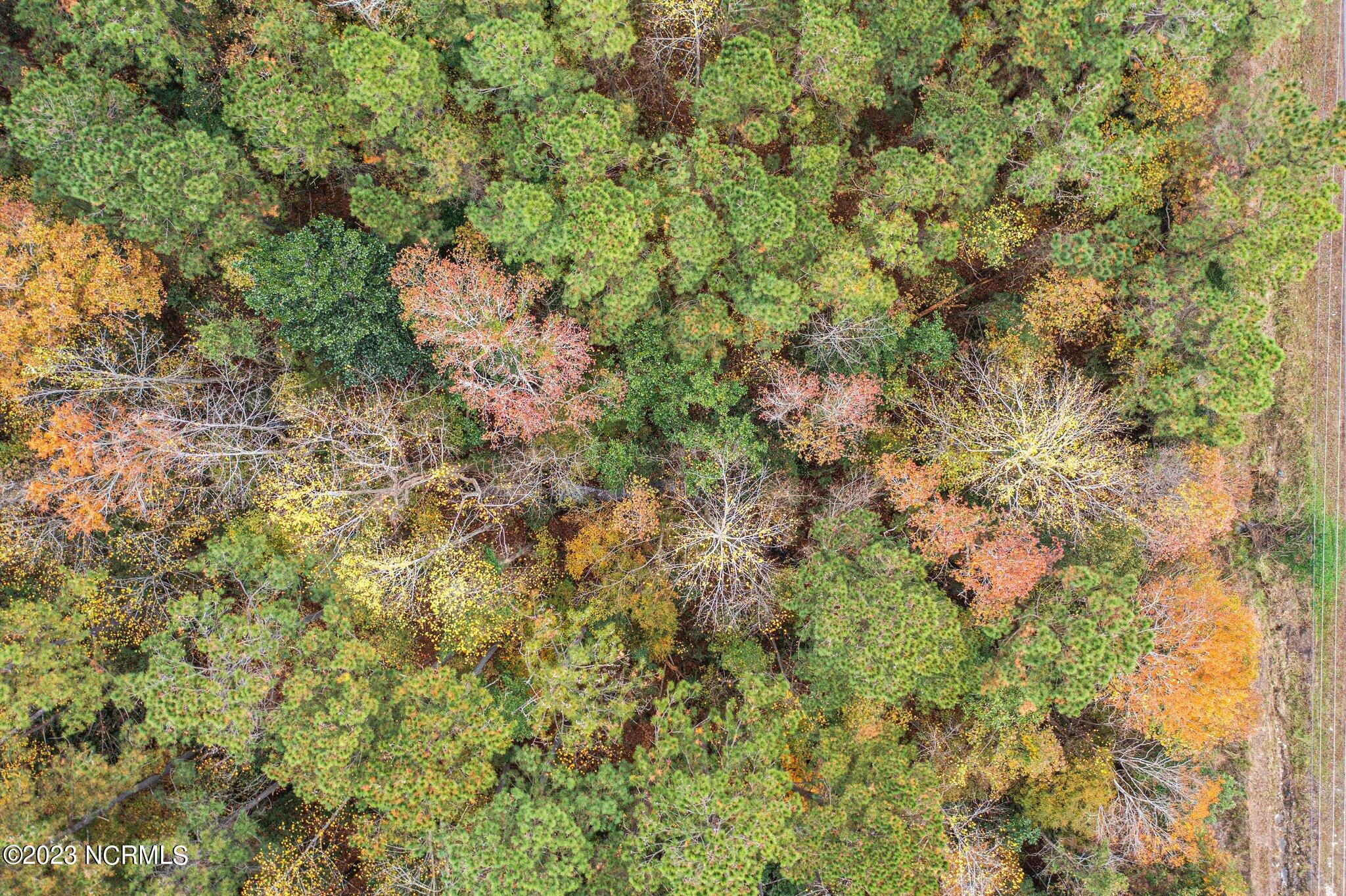 100415479 | Photo 21