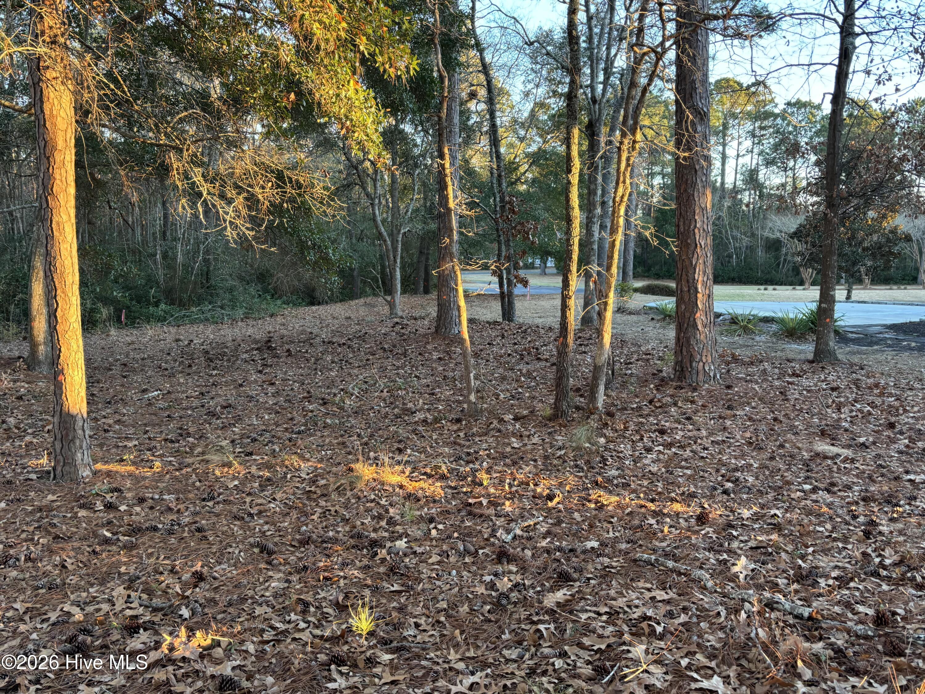 100554339 | Photo 14