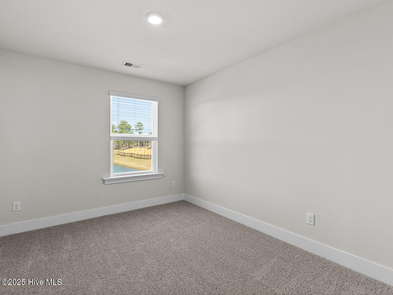 100538244 | Photo 22