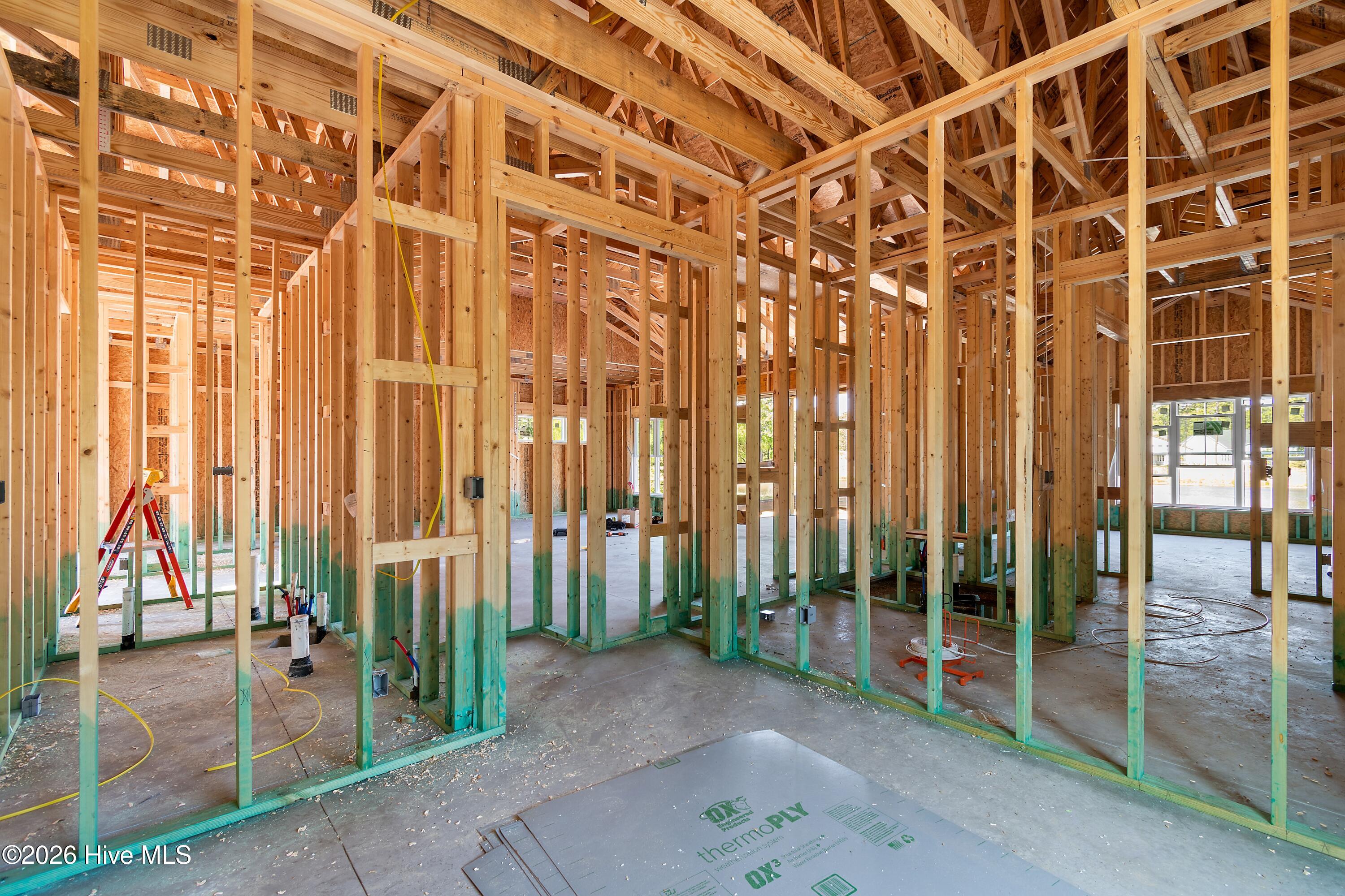 100555339 | Photo 18