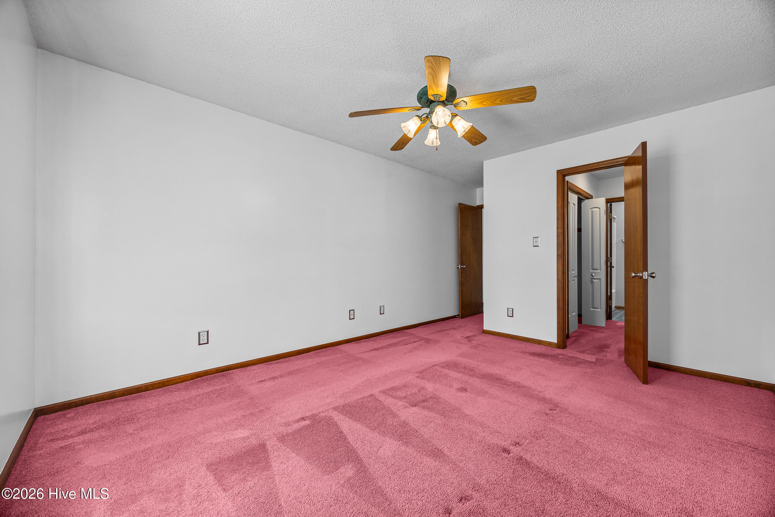 100565895 | Photo 10