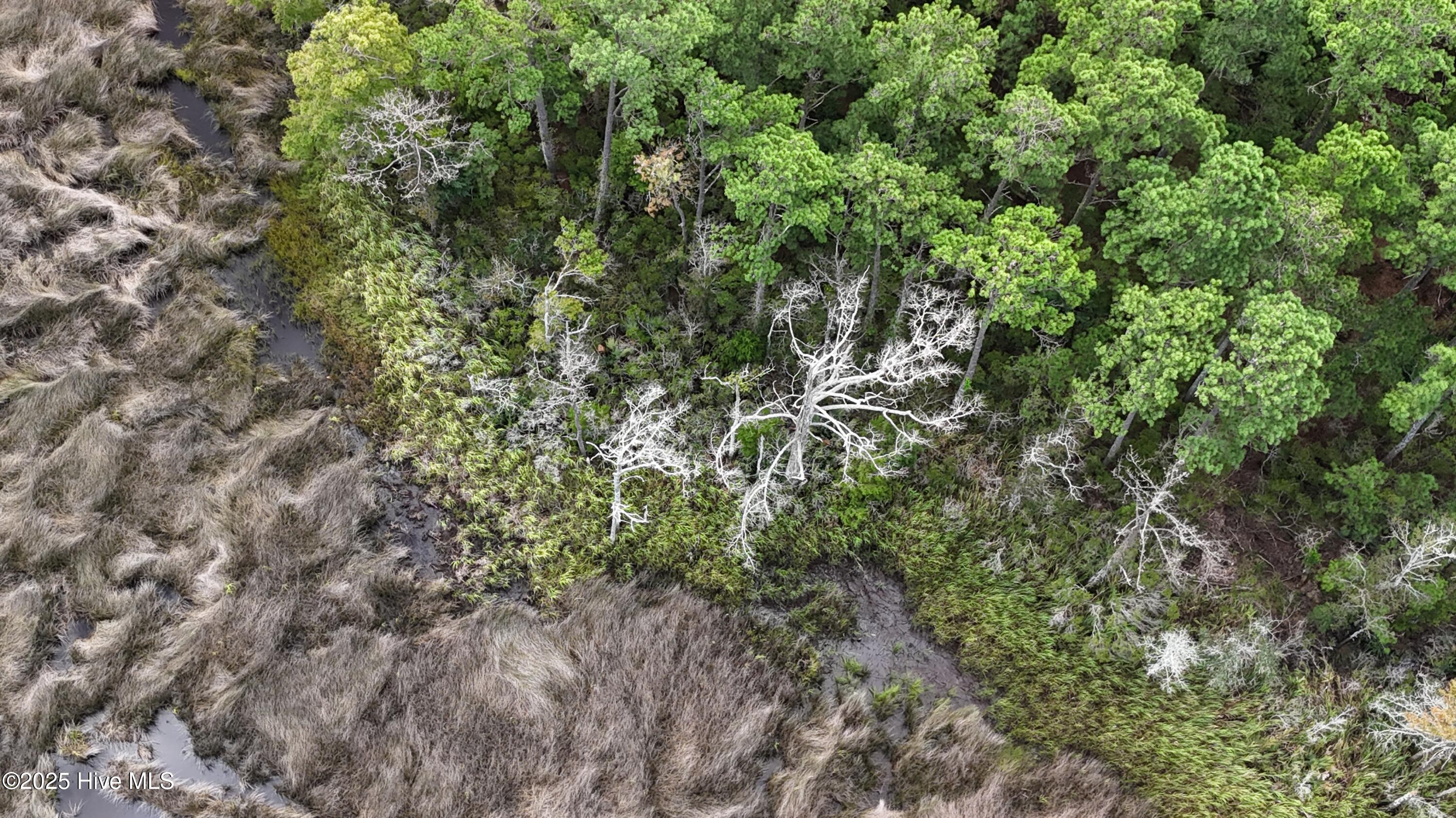 237 Garbacon Drive, Beaufort, NC, 28516