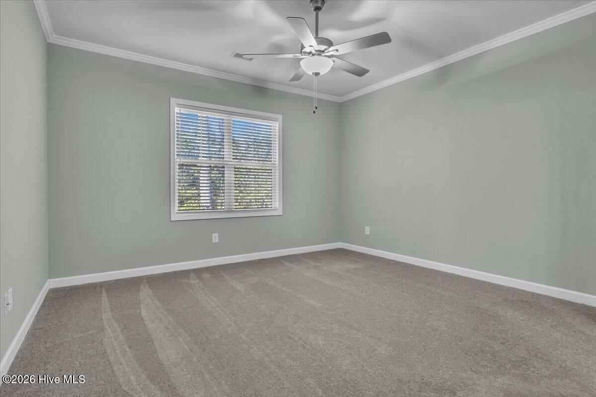 100551276 | Photo 19