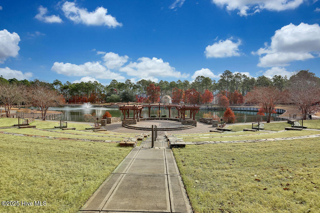 100554585 | Photo 117