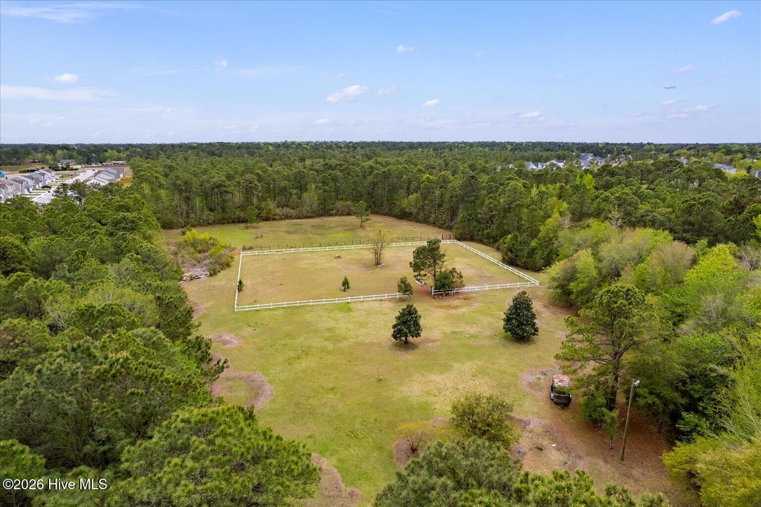 100566631 | Photo 22