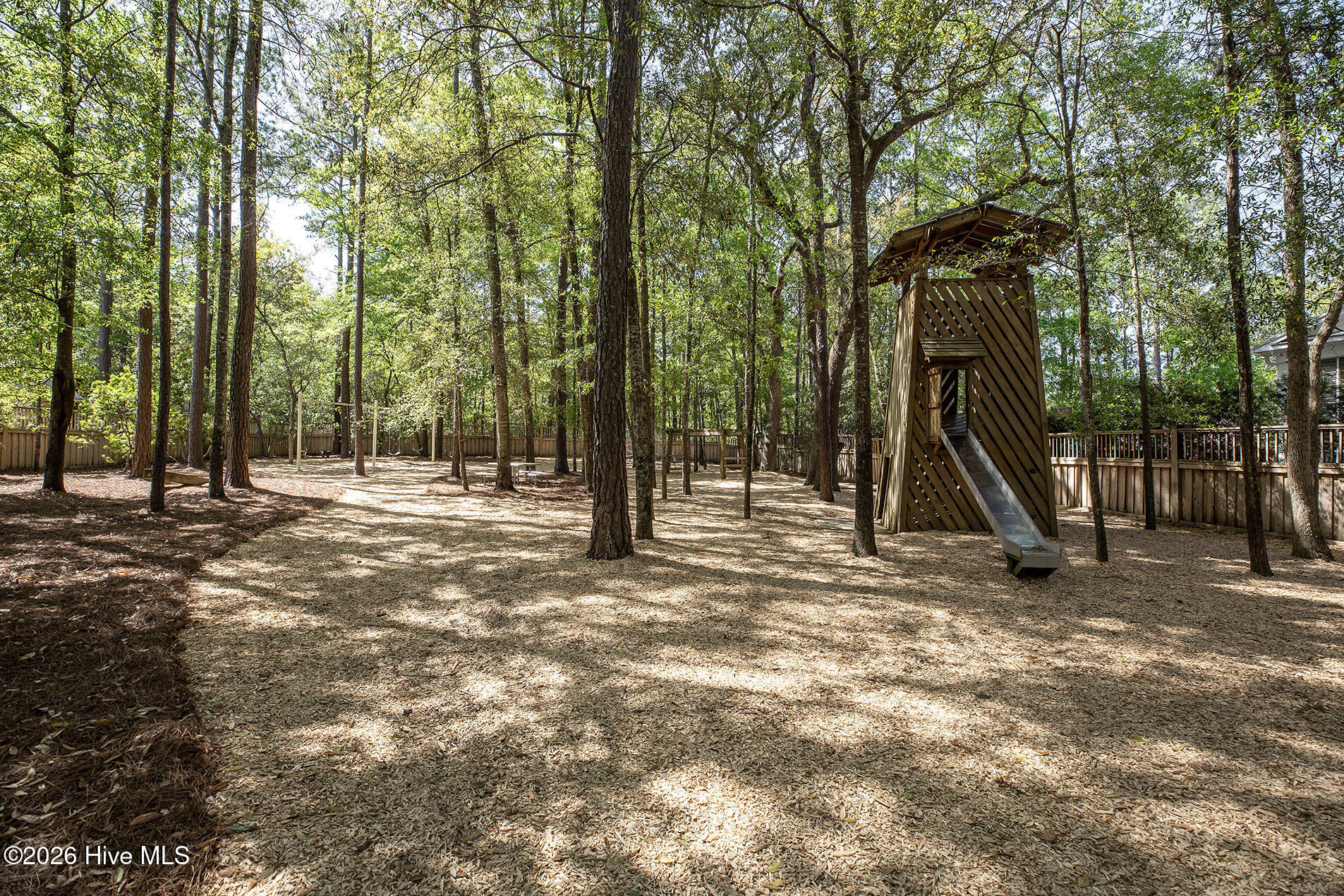 100563719 | Photo 62