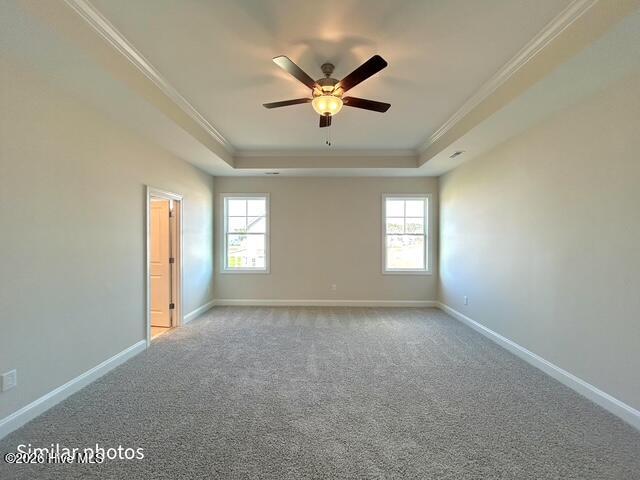 100553886 | Photo 34