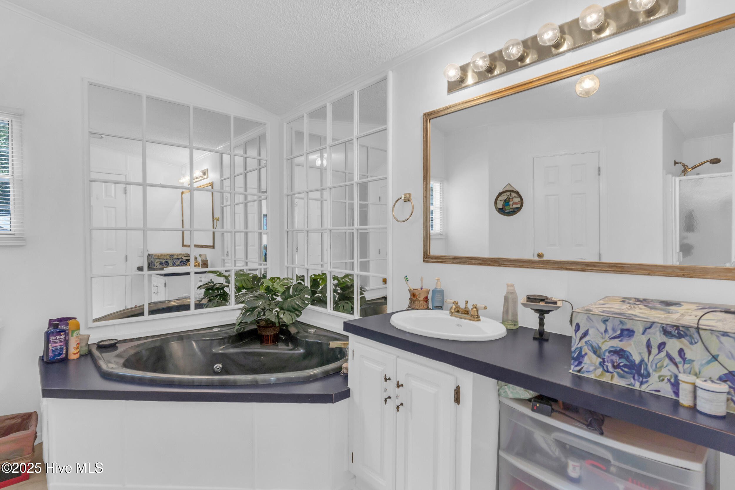 100559828 | Photo 16