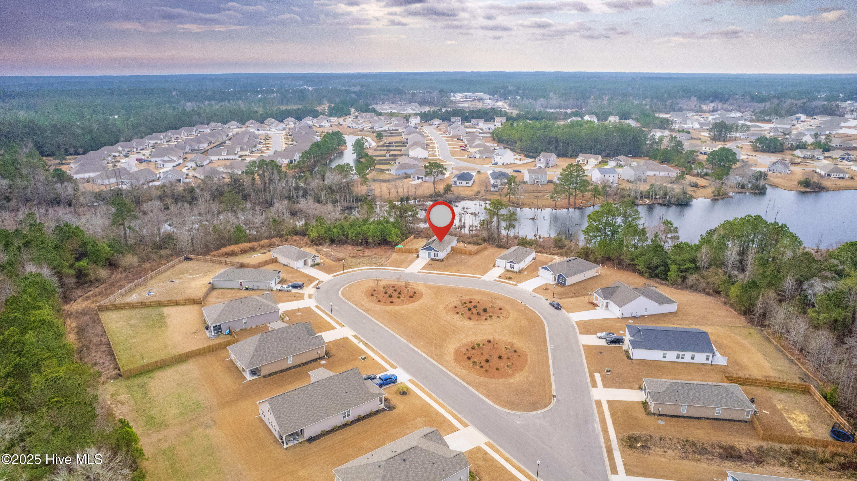 100566662 | Photo 19