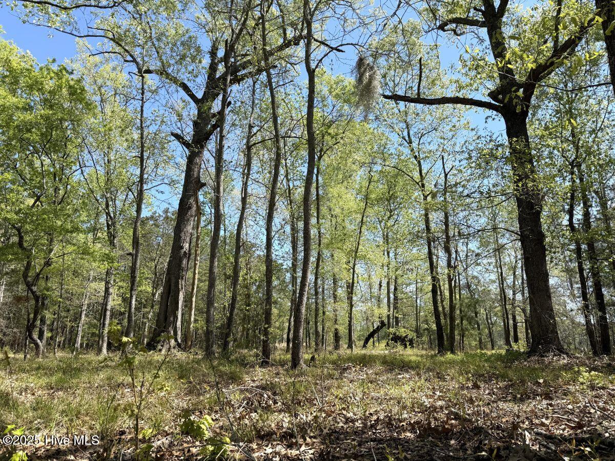 Lot 48 Sunset Point, Belhaven, NC, 27810