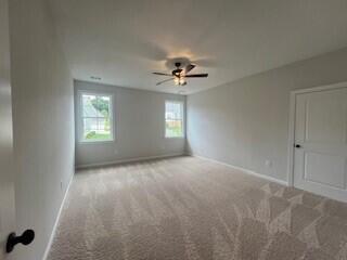 1001 Bartram Ridge