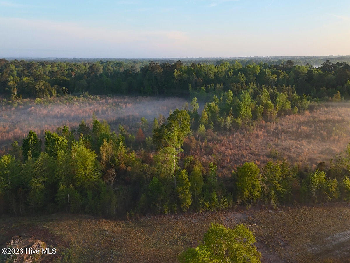 0 Durwood Evans Road, Beulaville, NC, 28518