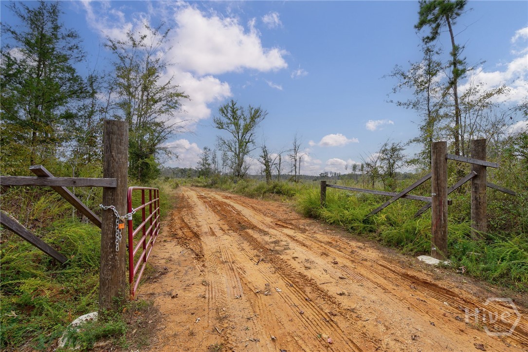 Homes for sale in Carlton, GA | 00 New Hope Vesta, Carlton, GA 30627 | MLS# CL343042