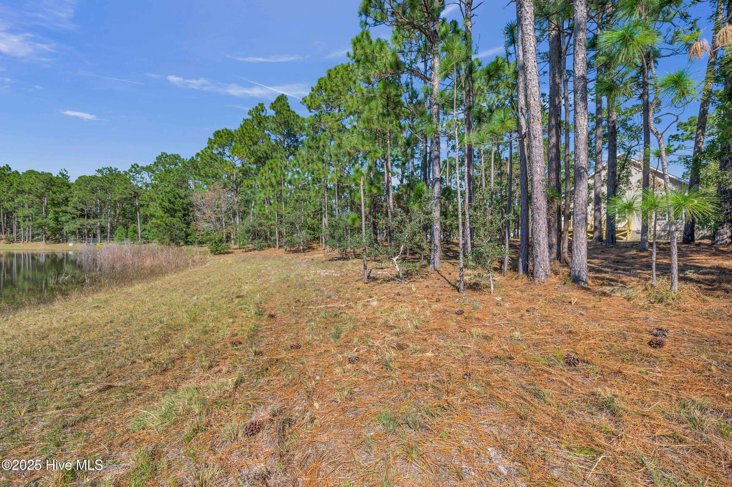 100537986 | Photo 41