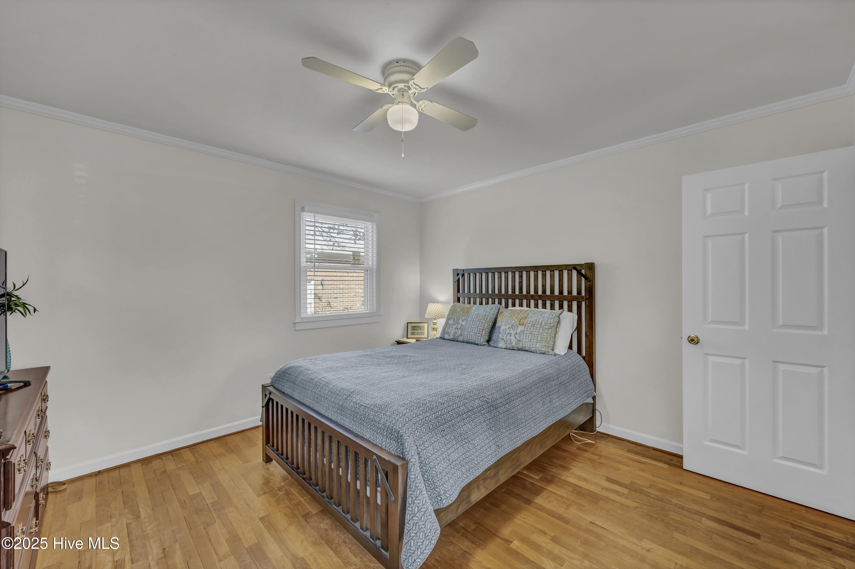 100541737 | Photo 19