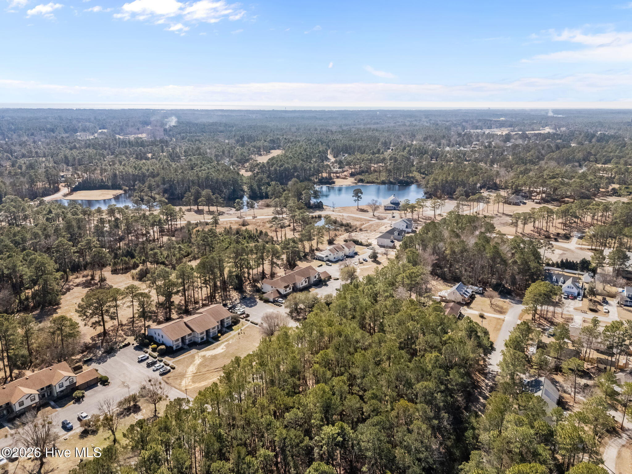 100554943 | Photo 23