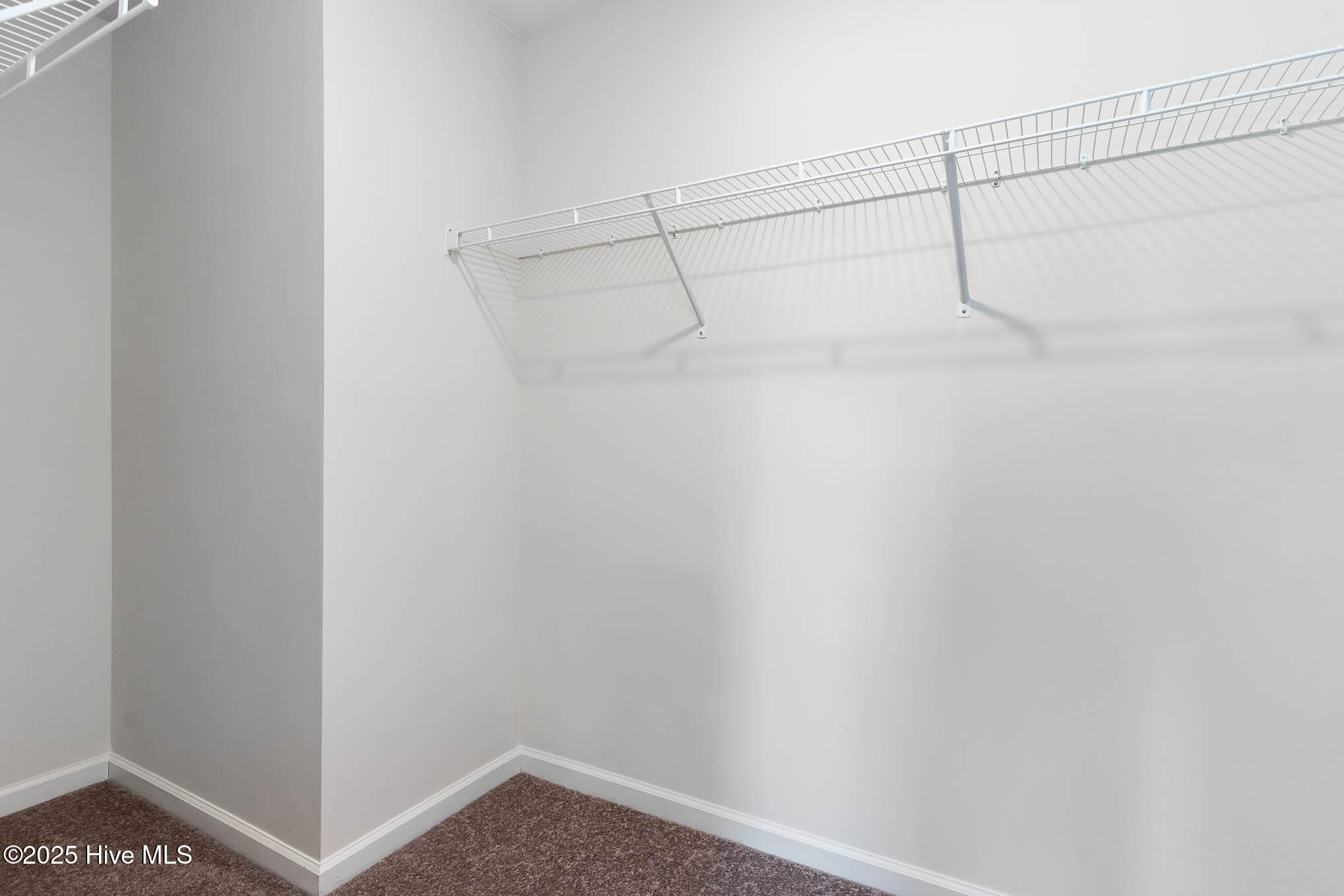 100550213 | Photo 23