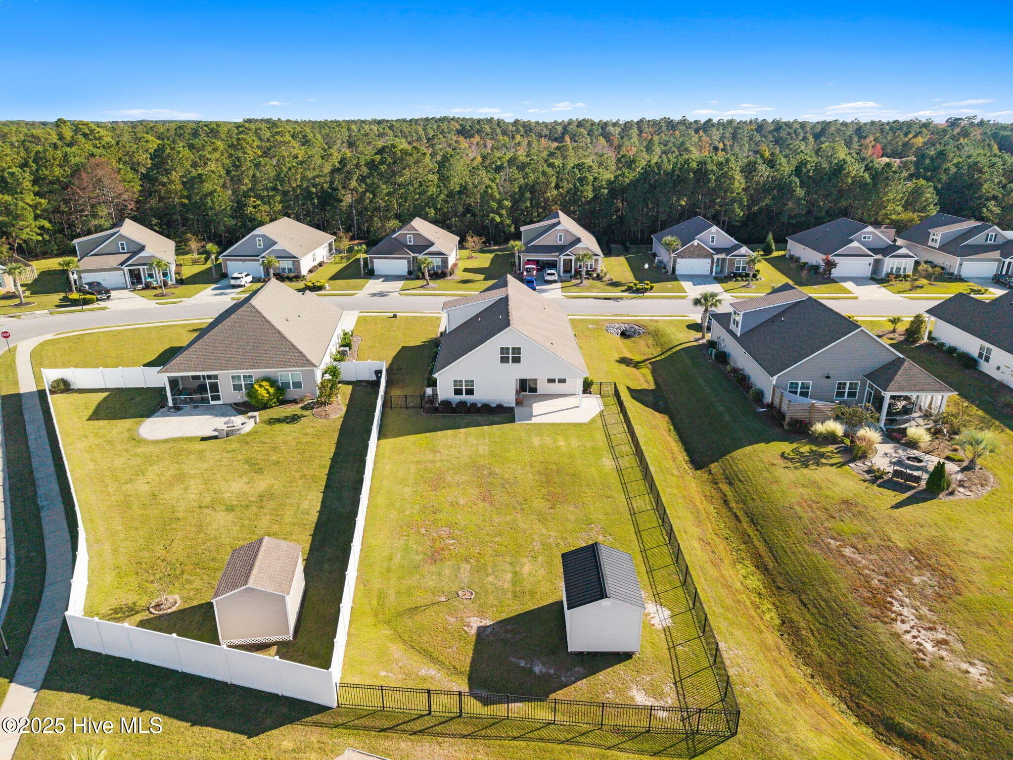 100538184 | Photo 59