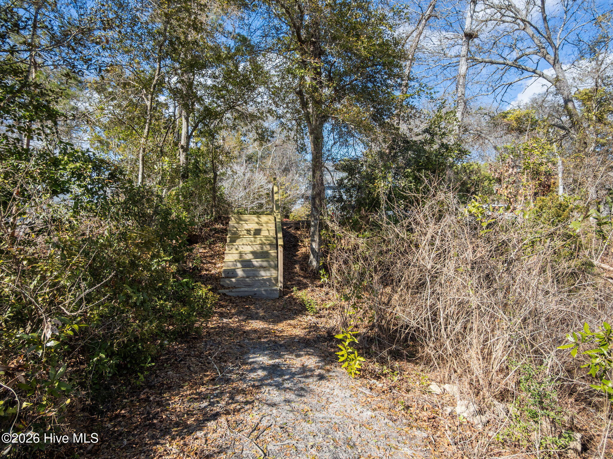 100556507 | Photo 51