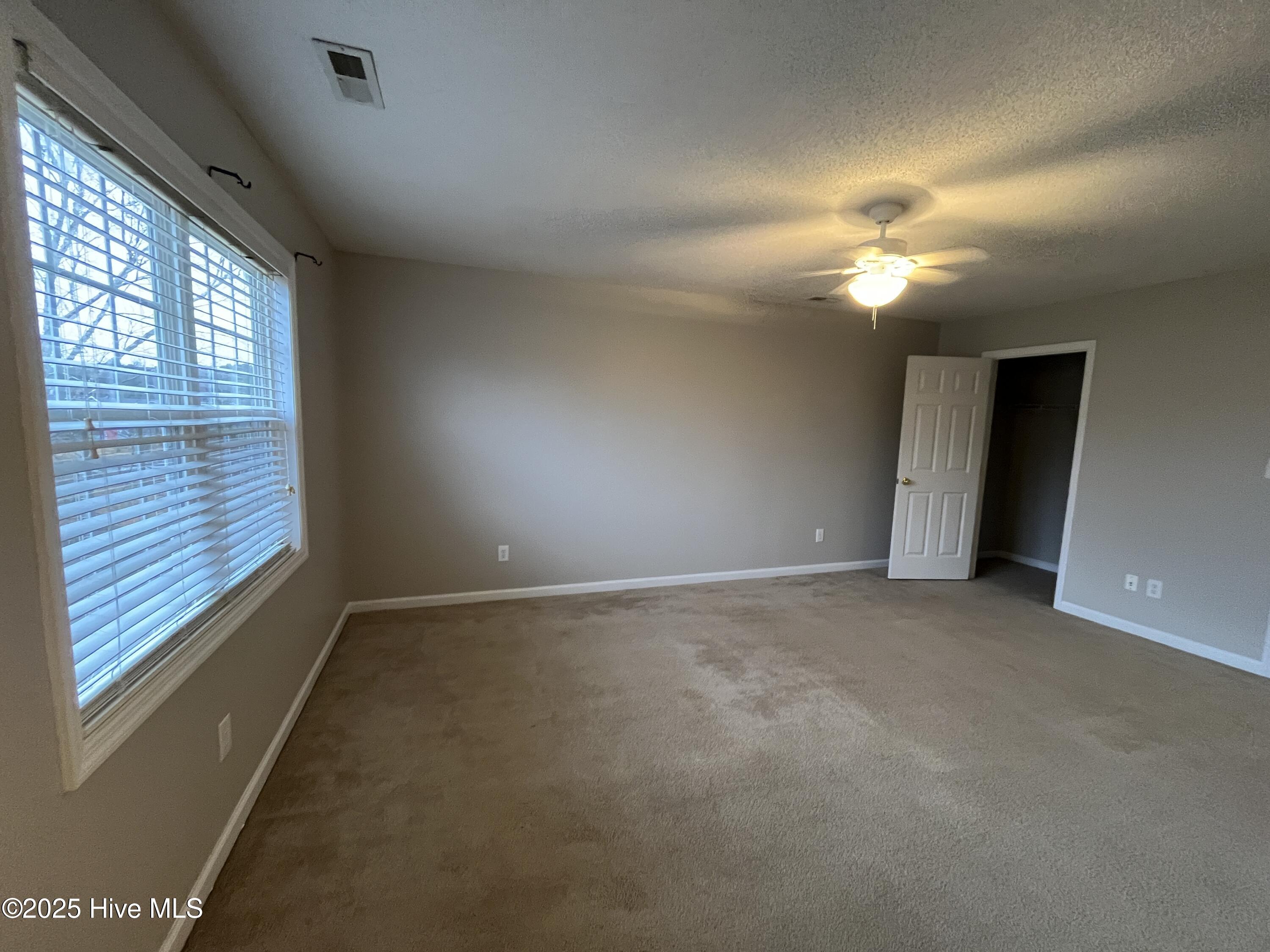 100546004 | Photo 13