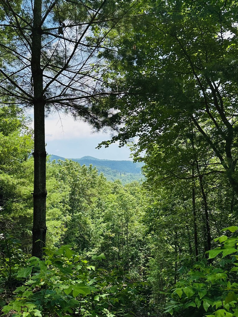 Exterior photo of Lot #15 View Ridge Trail, Murphy, NC 28906. MLS: 98543808